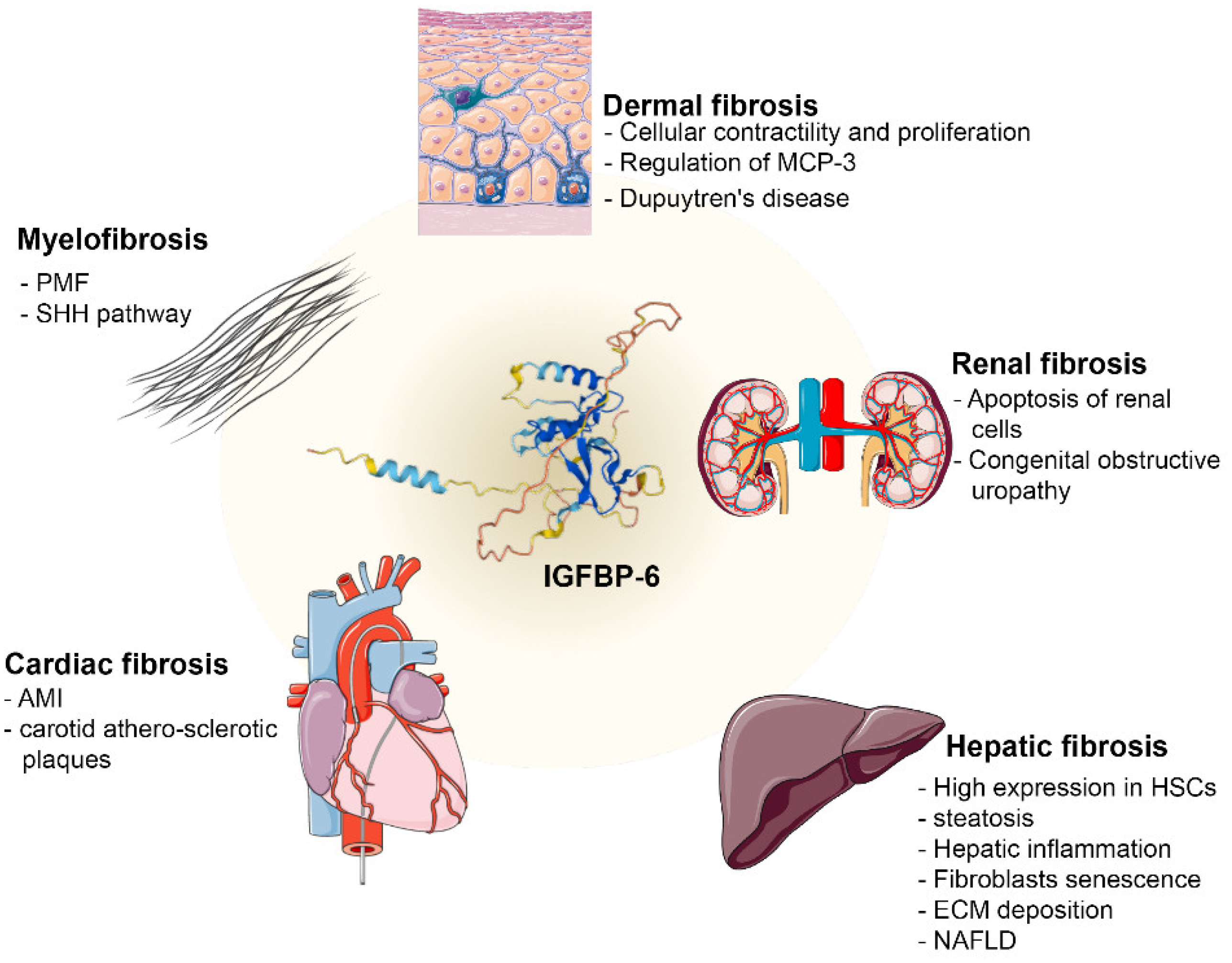 Ijms 23 04358 g001 Ijms 23 04358 g001