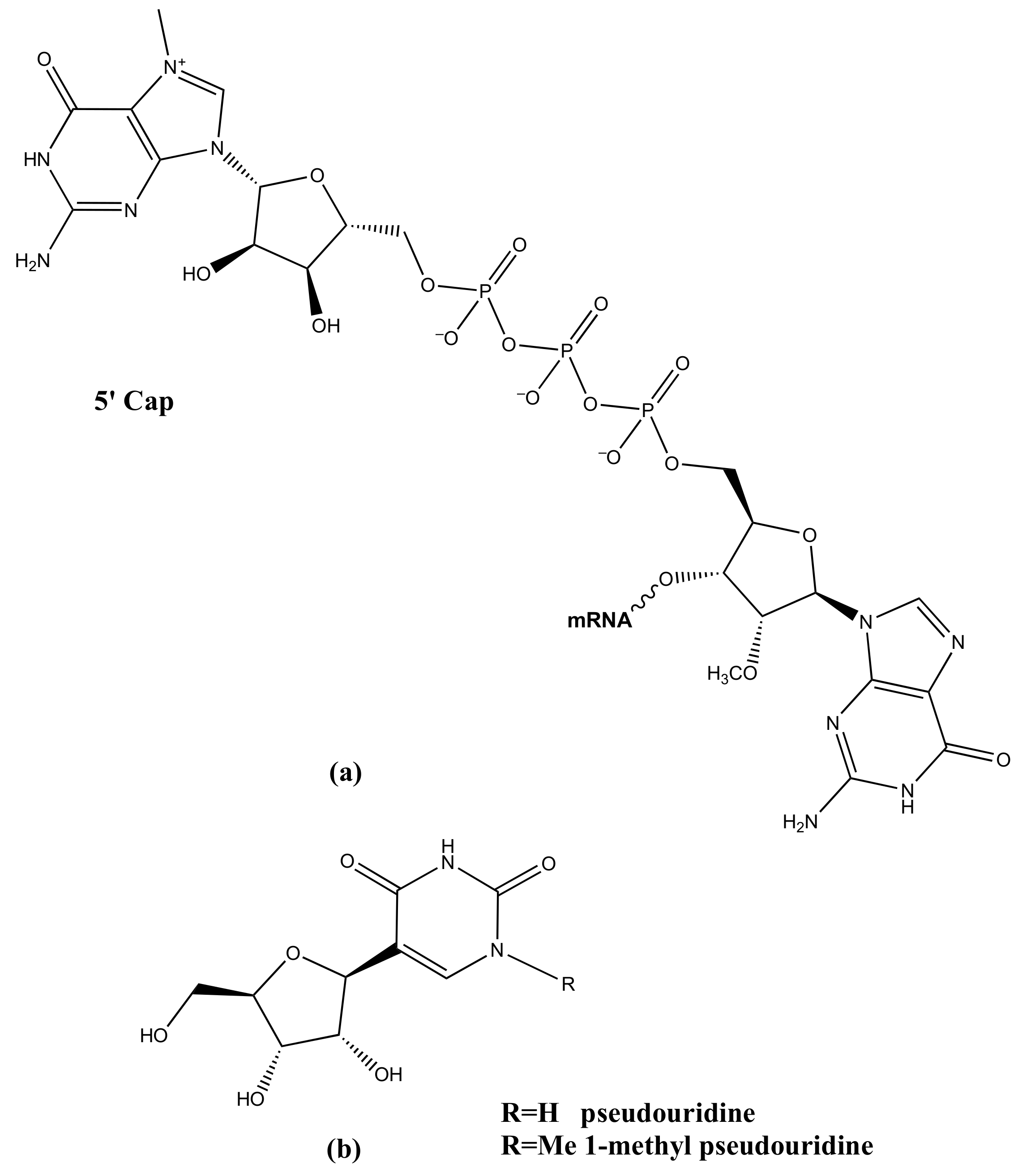 Ijms 23 04359 g003 550