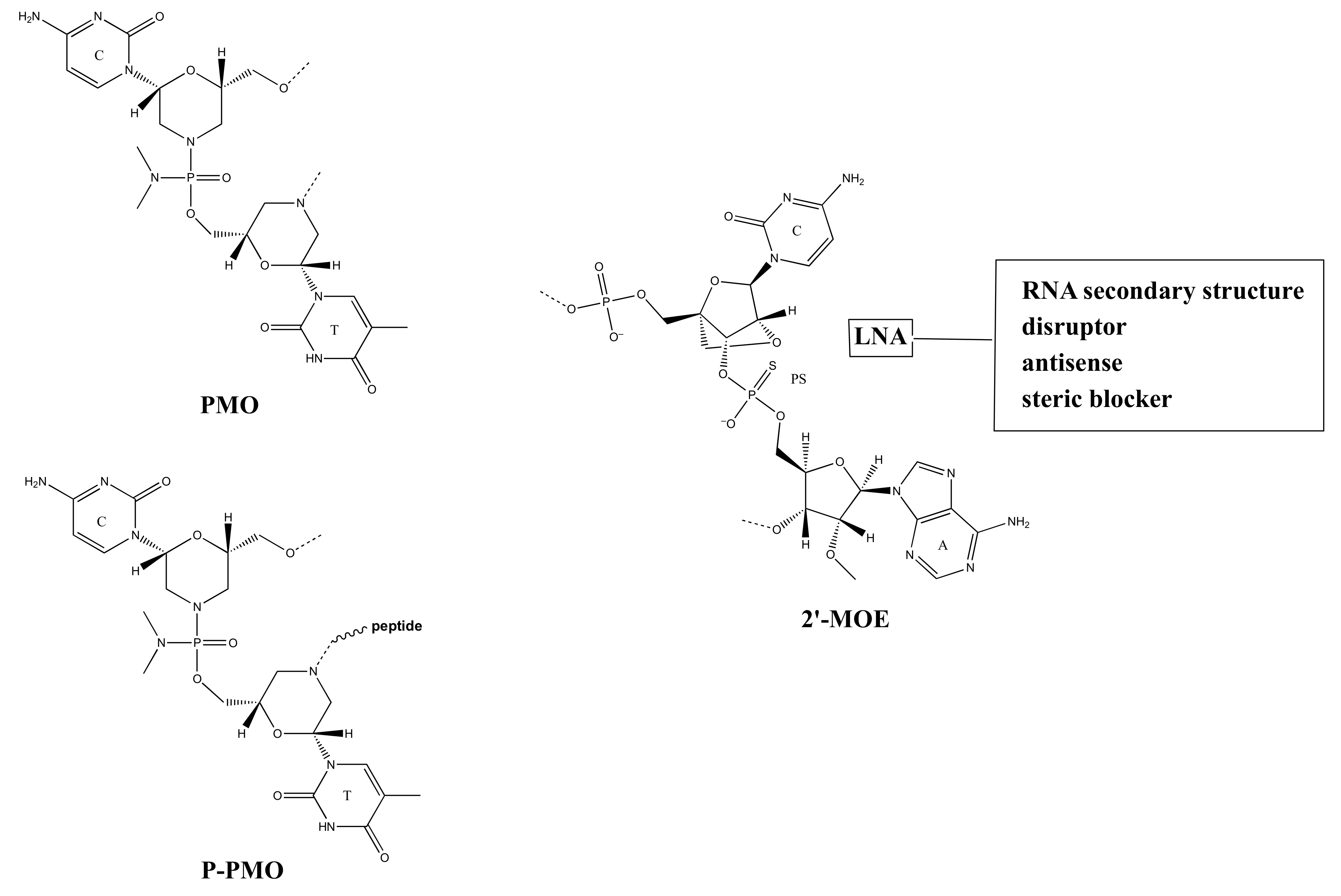 Ijms 23 04359 g005 550