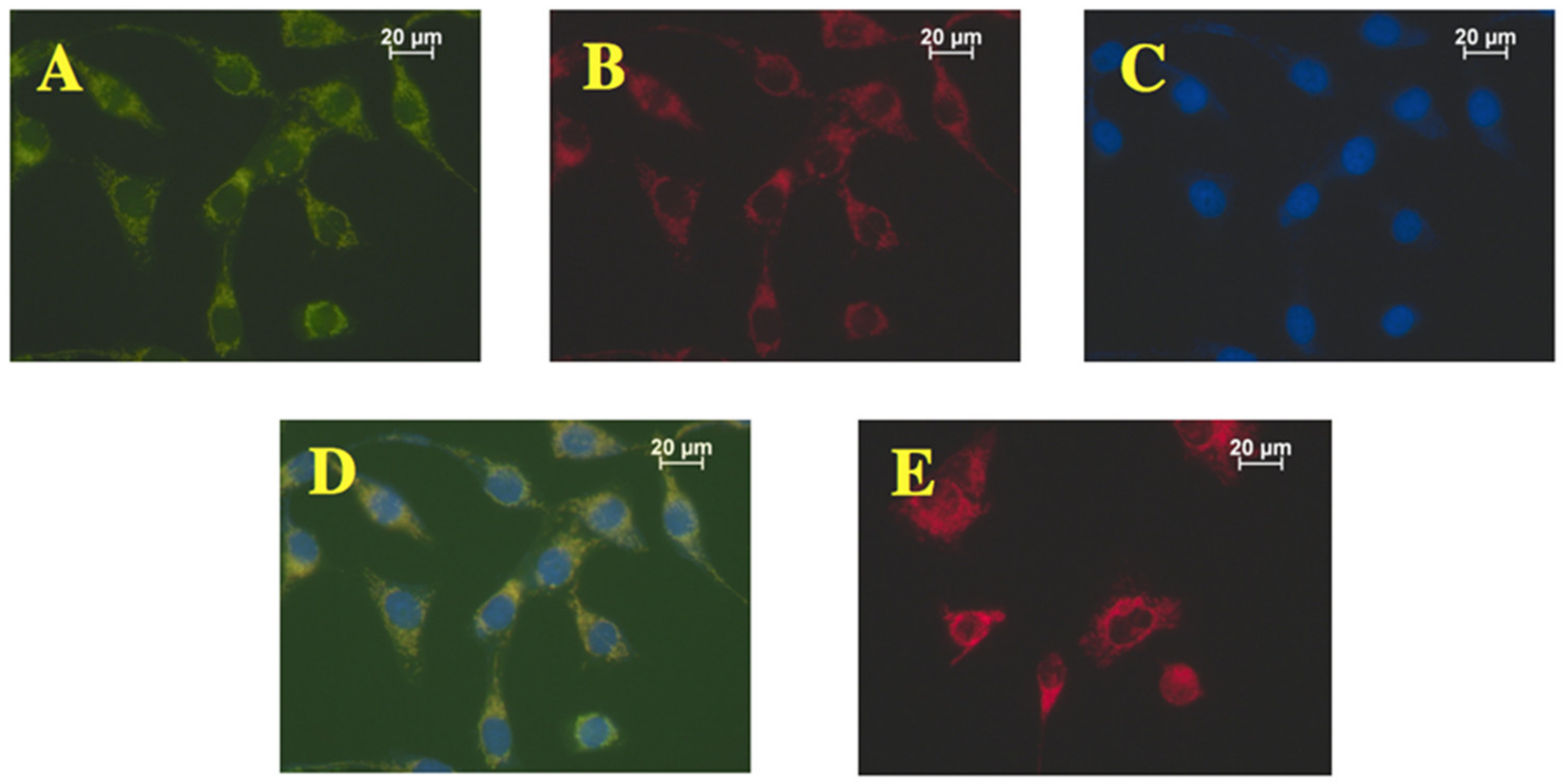 Ijms 23 04362 g001 550