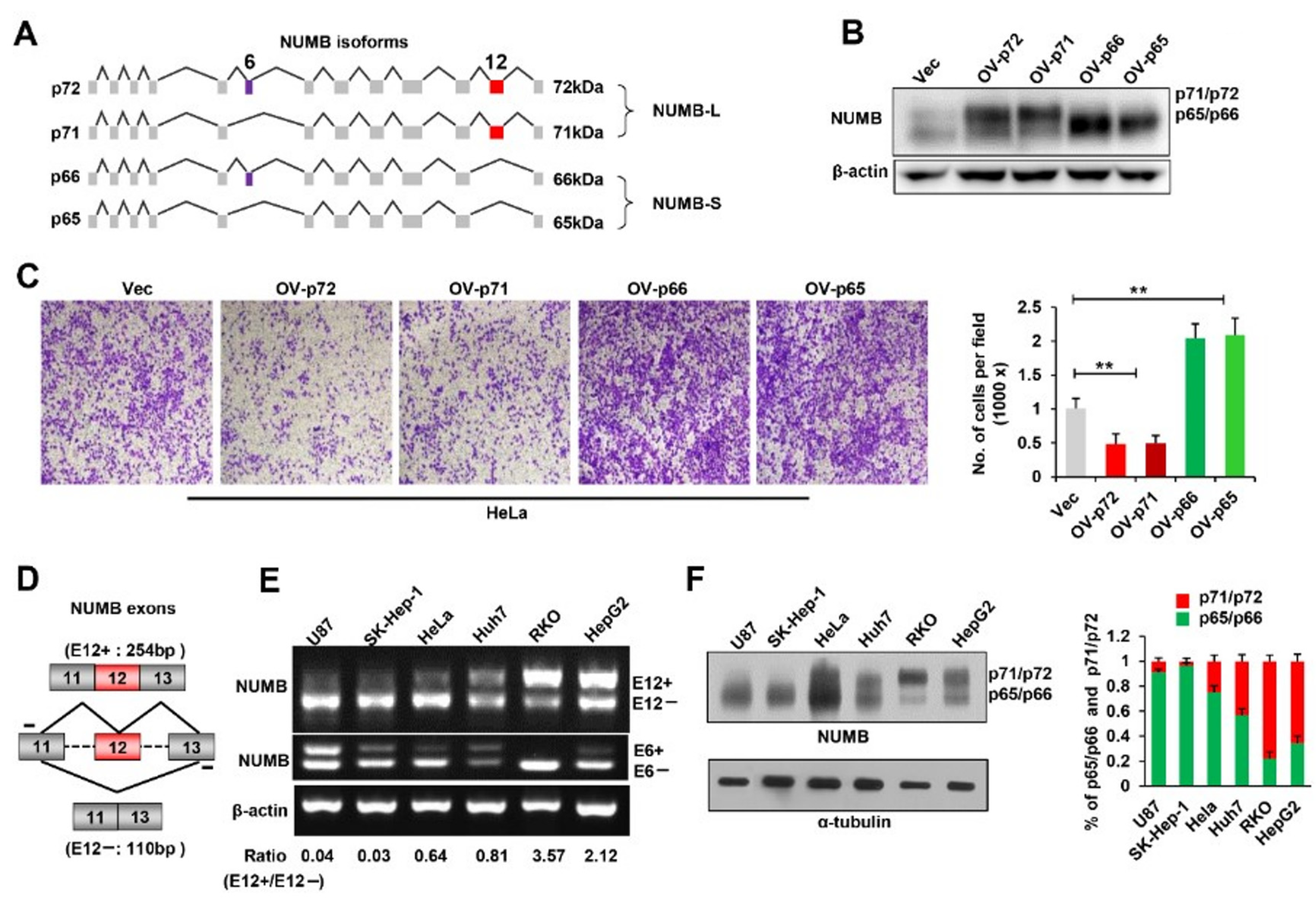 Ijms 23 04363 g001 550