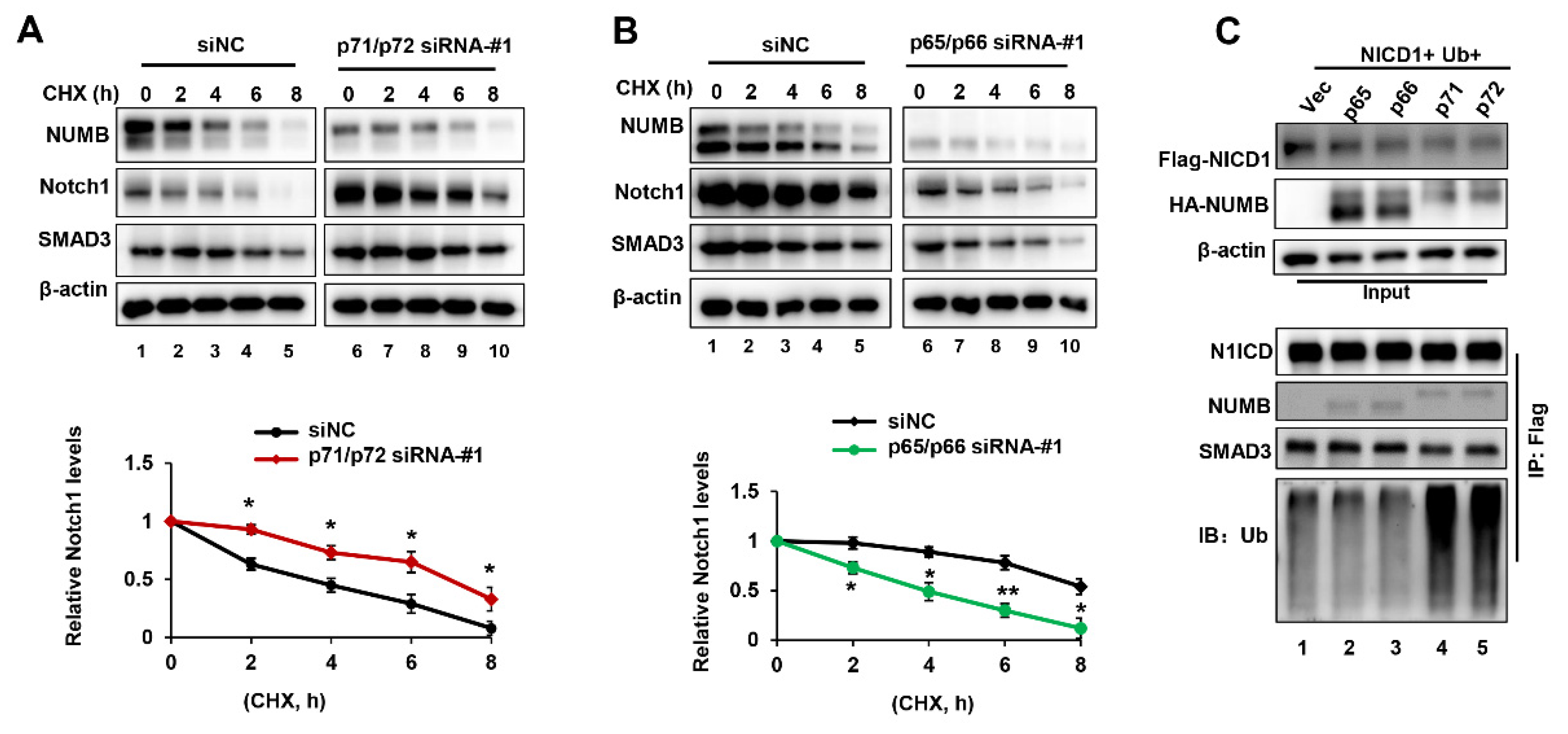 Ijms 23 04363 g005 550