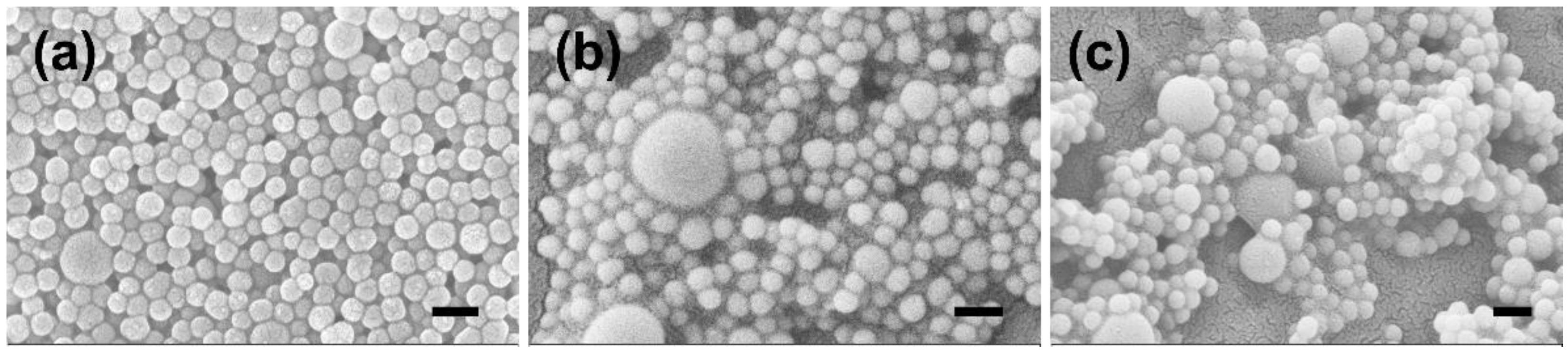 Ijms 23 04365 g001 Ijms 23 04365 g001