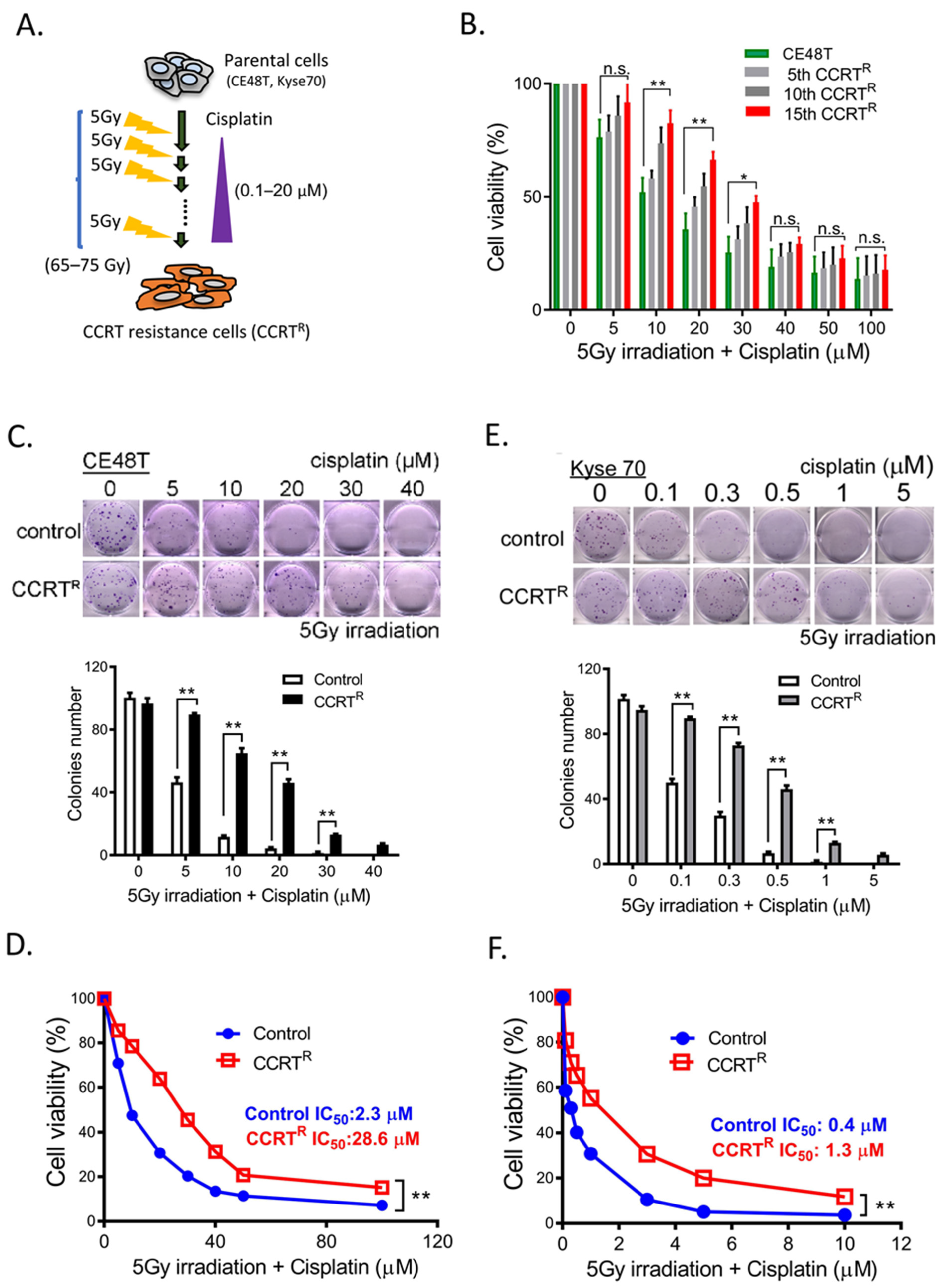 Ijms 23 04367 g001 Ijms 23 04367 g001