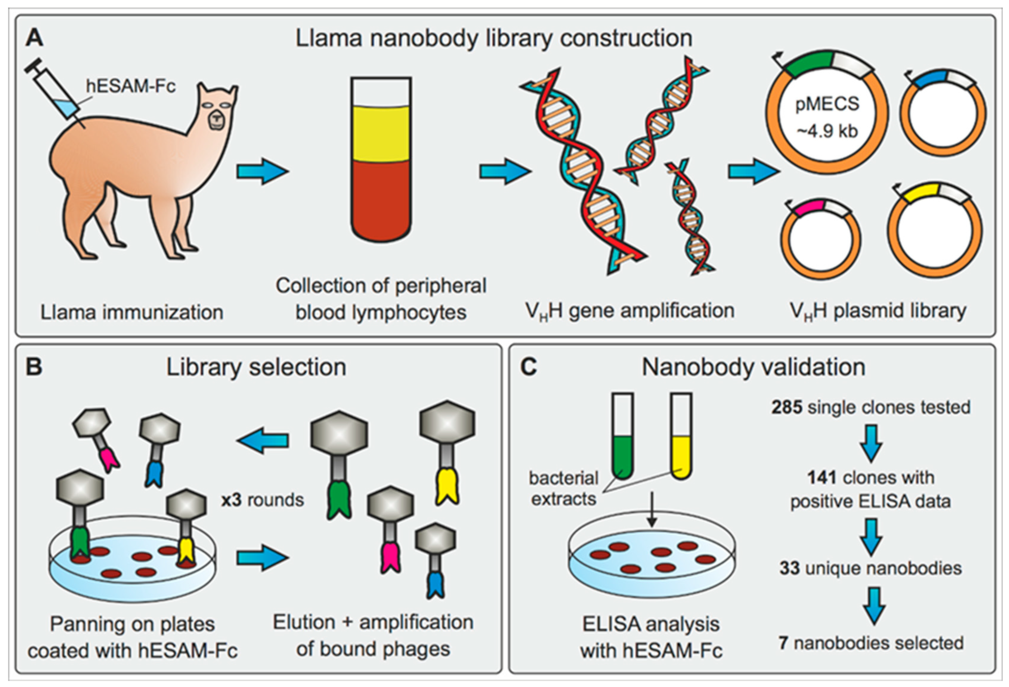 Ijms 23 04369 g001 550