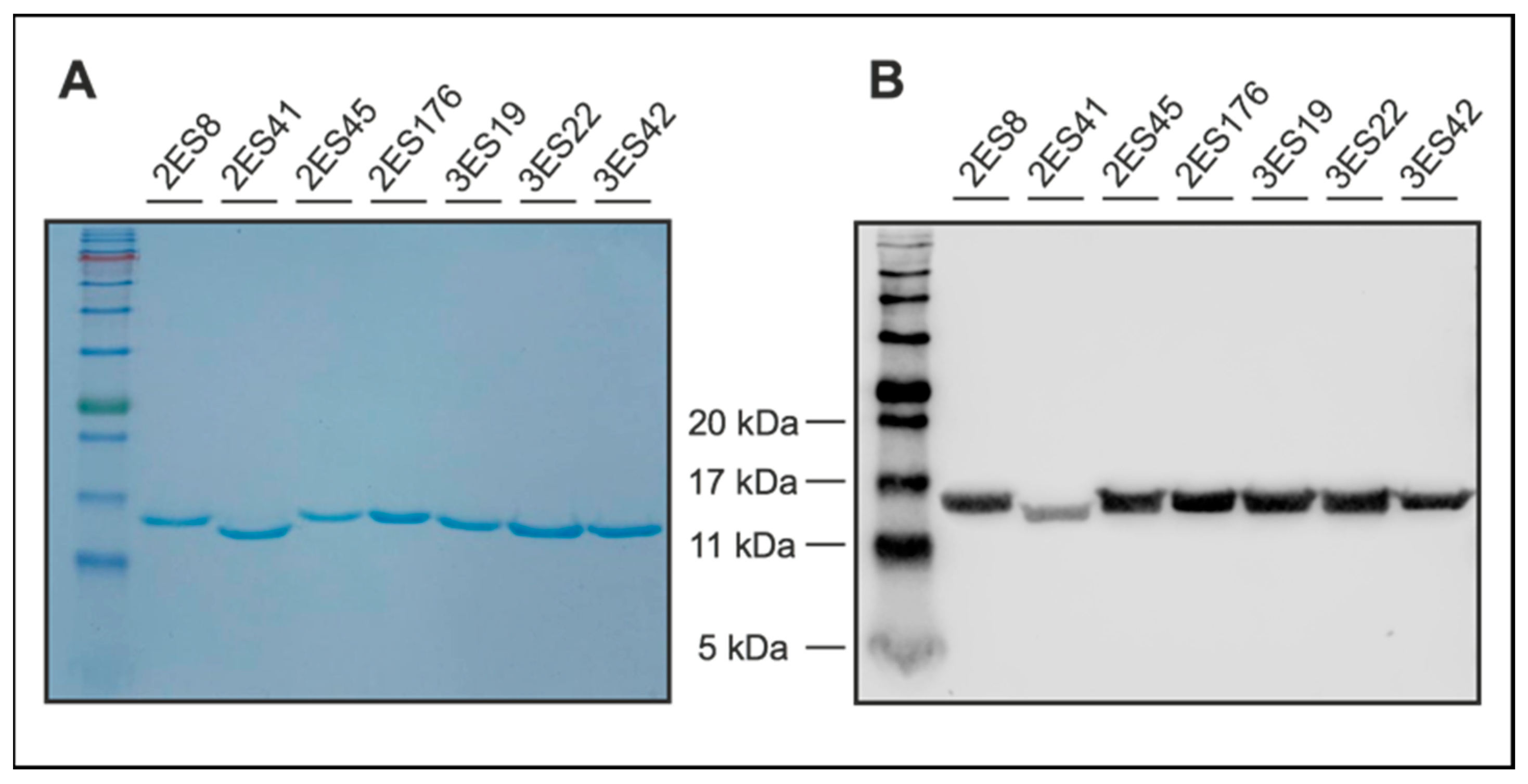 Ijms 23 04369 g002 550