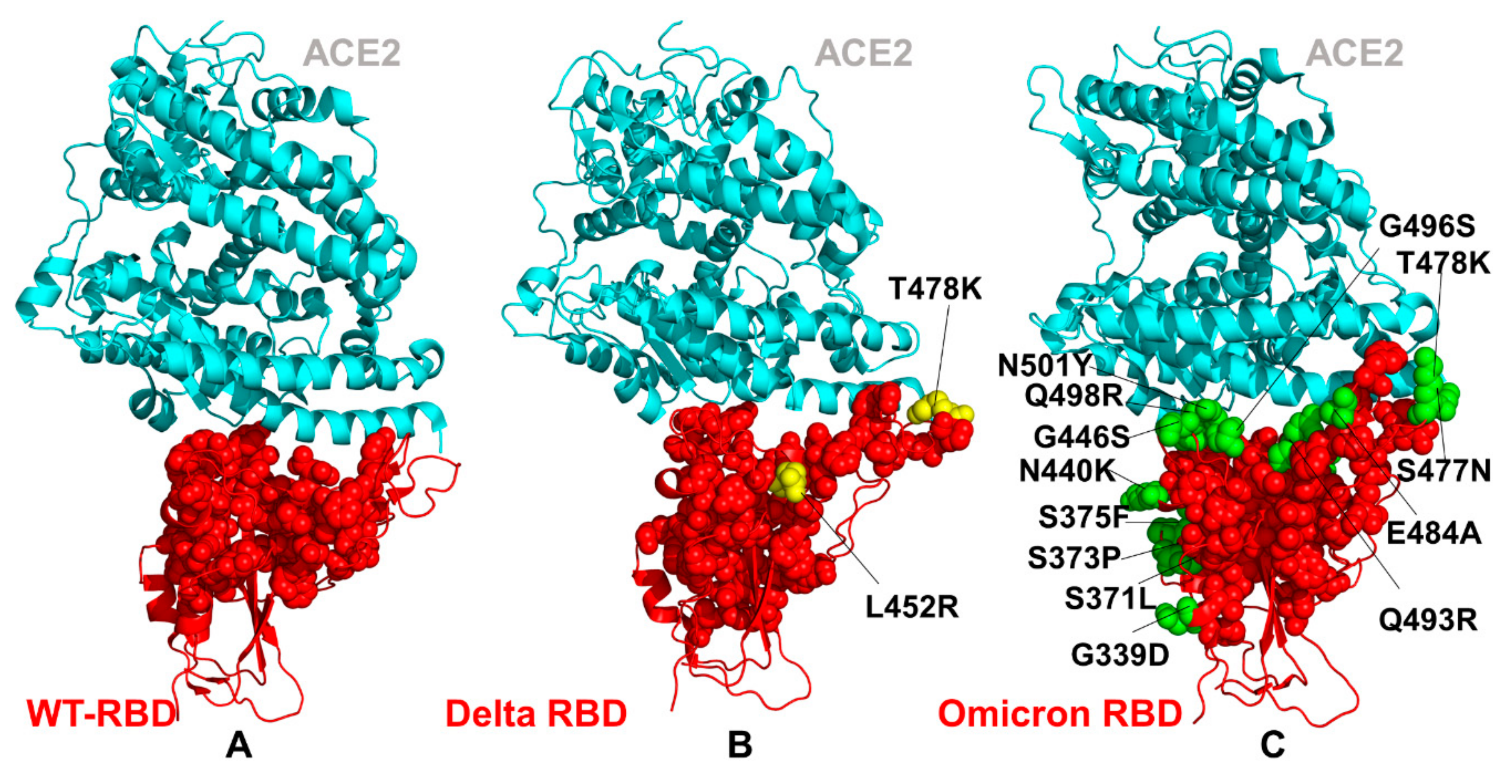 Ijms 23 04376 g006 550