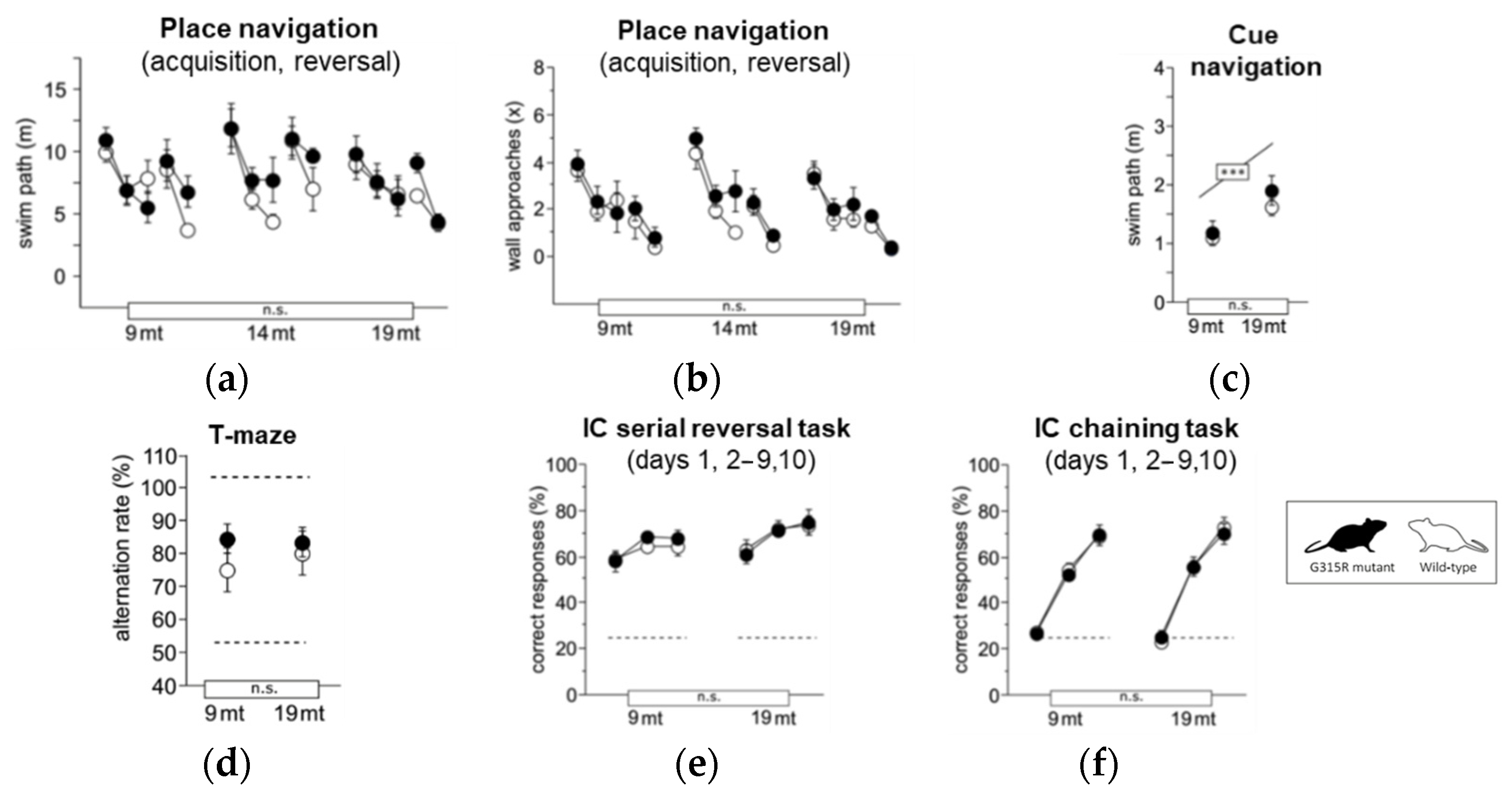 Ijms 23 04384 g006 Ijms 23 04384 g006