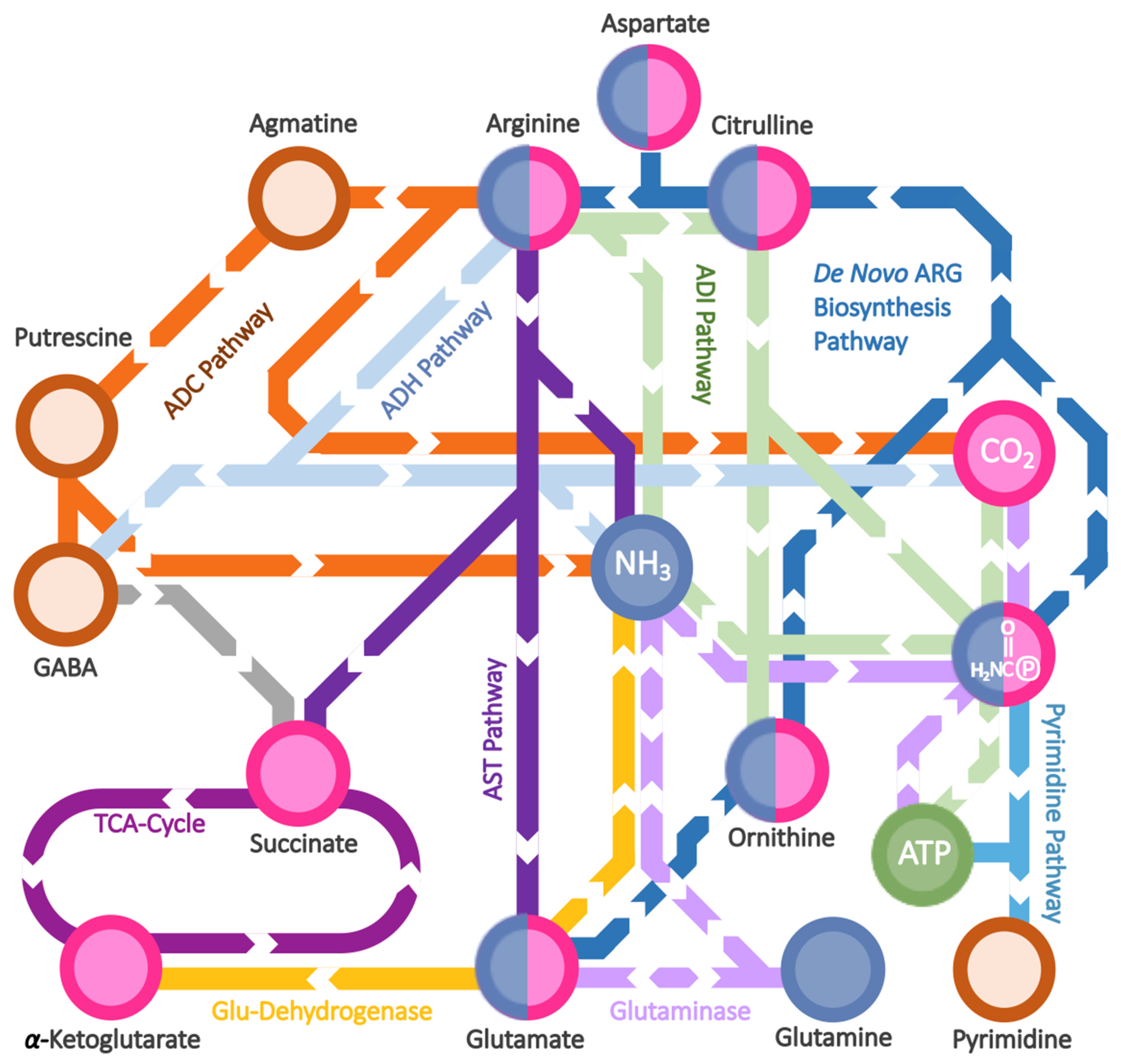 Ijms 23 04386 g001 550