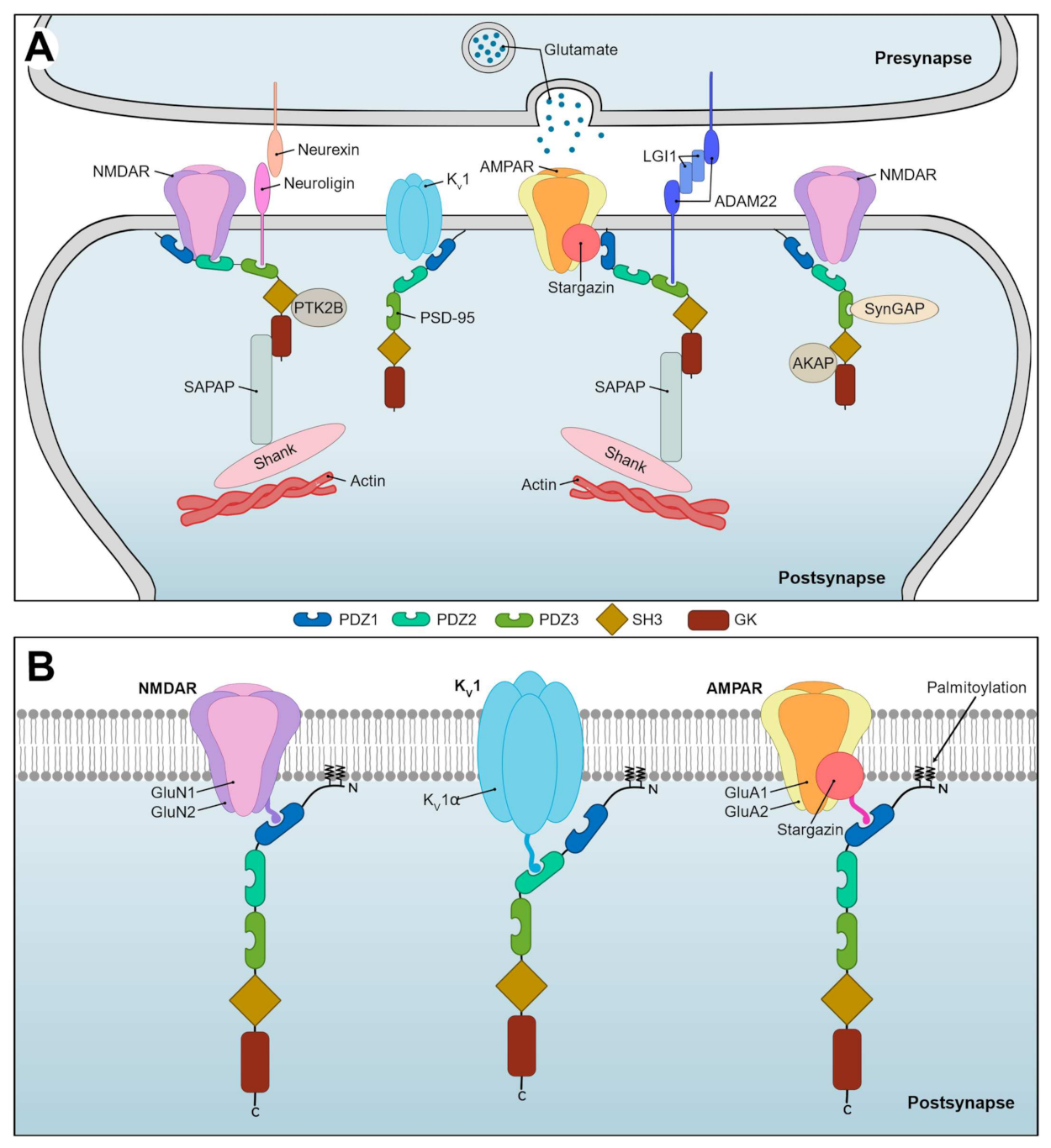 Ijms 23 04390 g001 Ijms 23 04390 g001