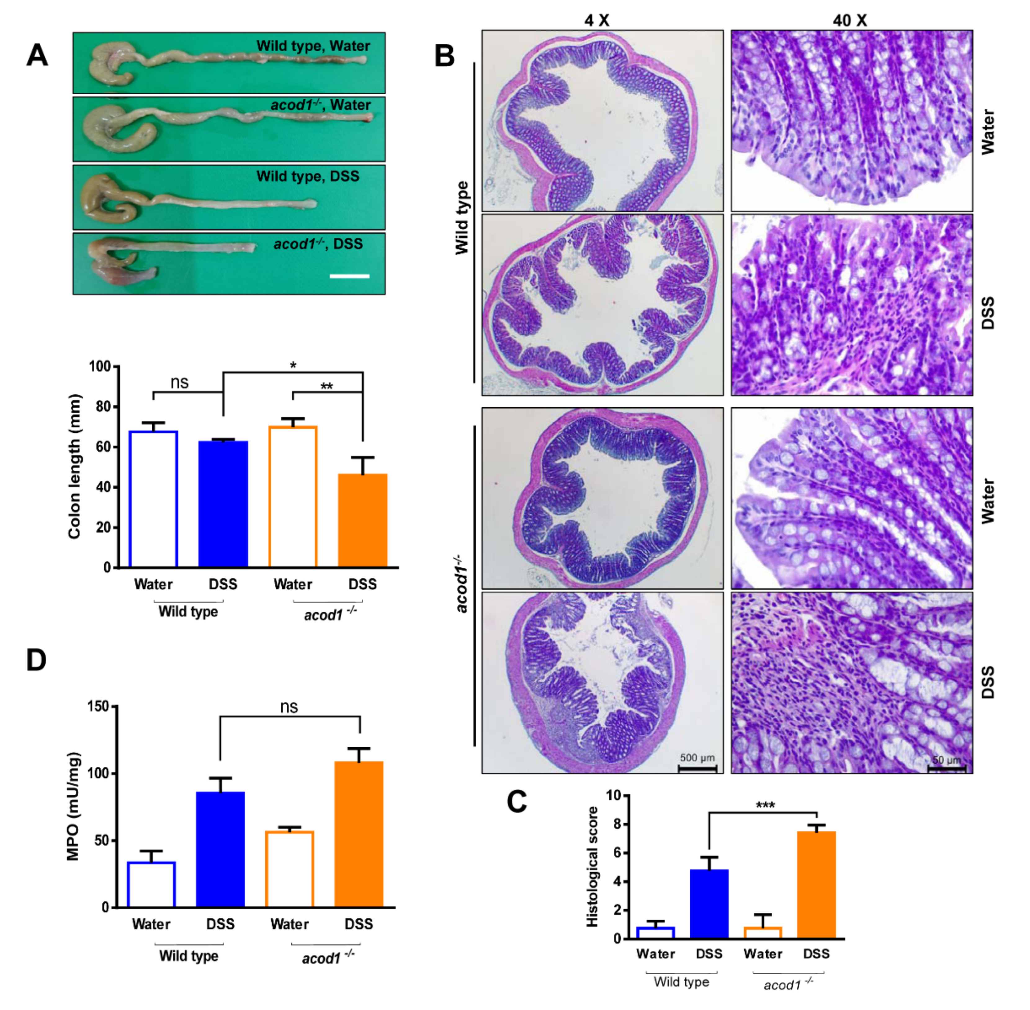 Ijms 23 04392 g002 550