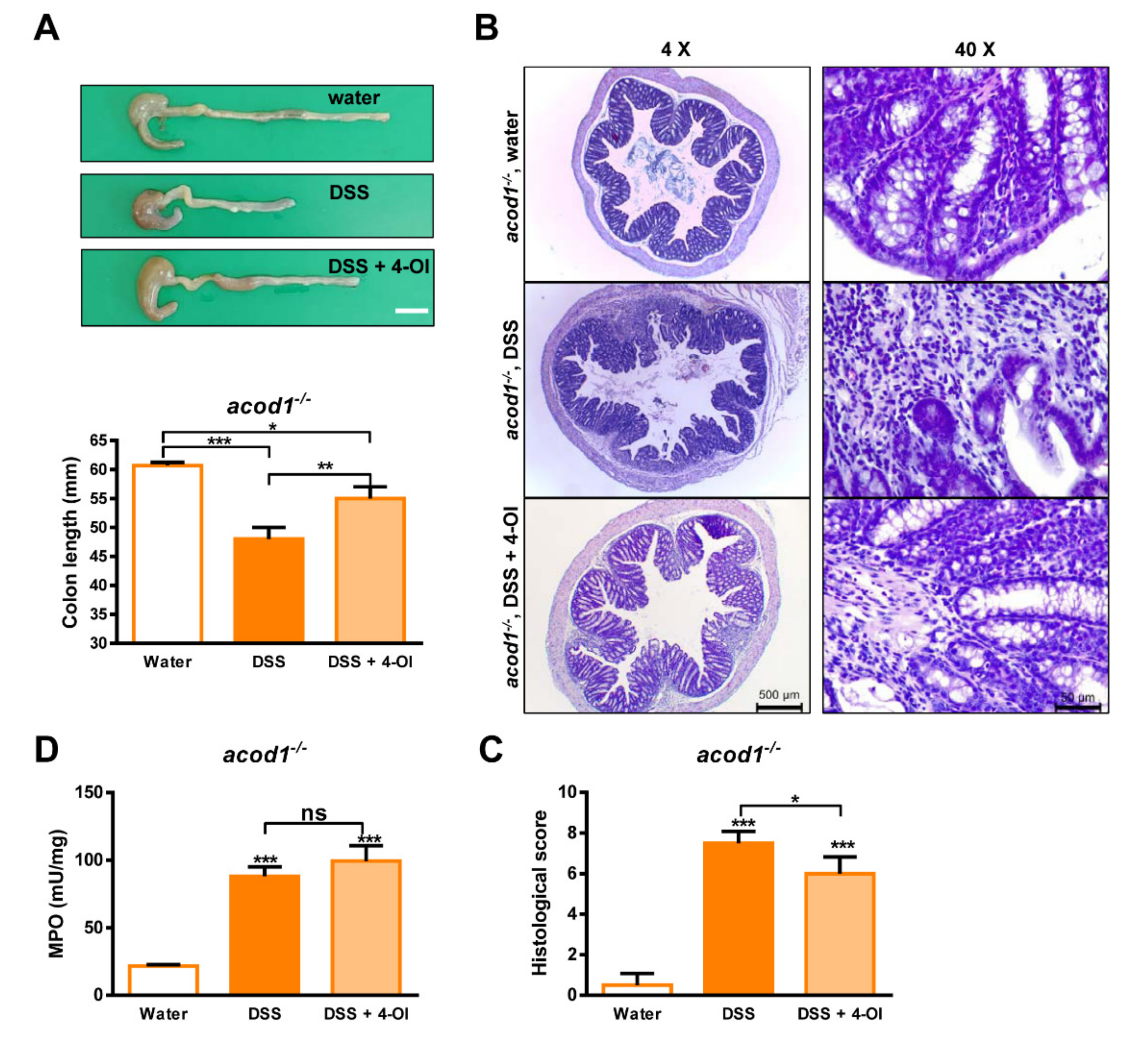 Ijms 23 04392 g005 550