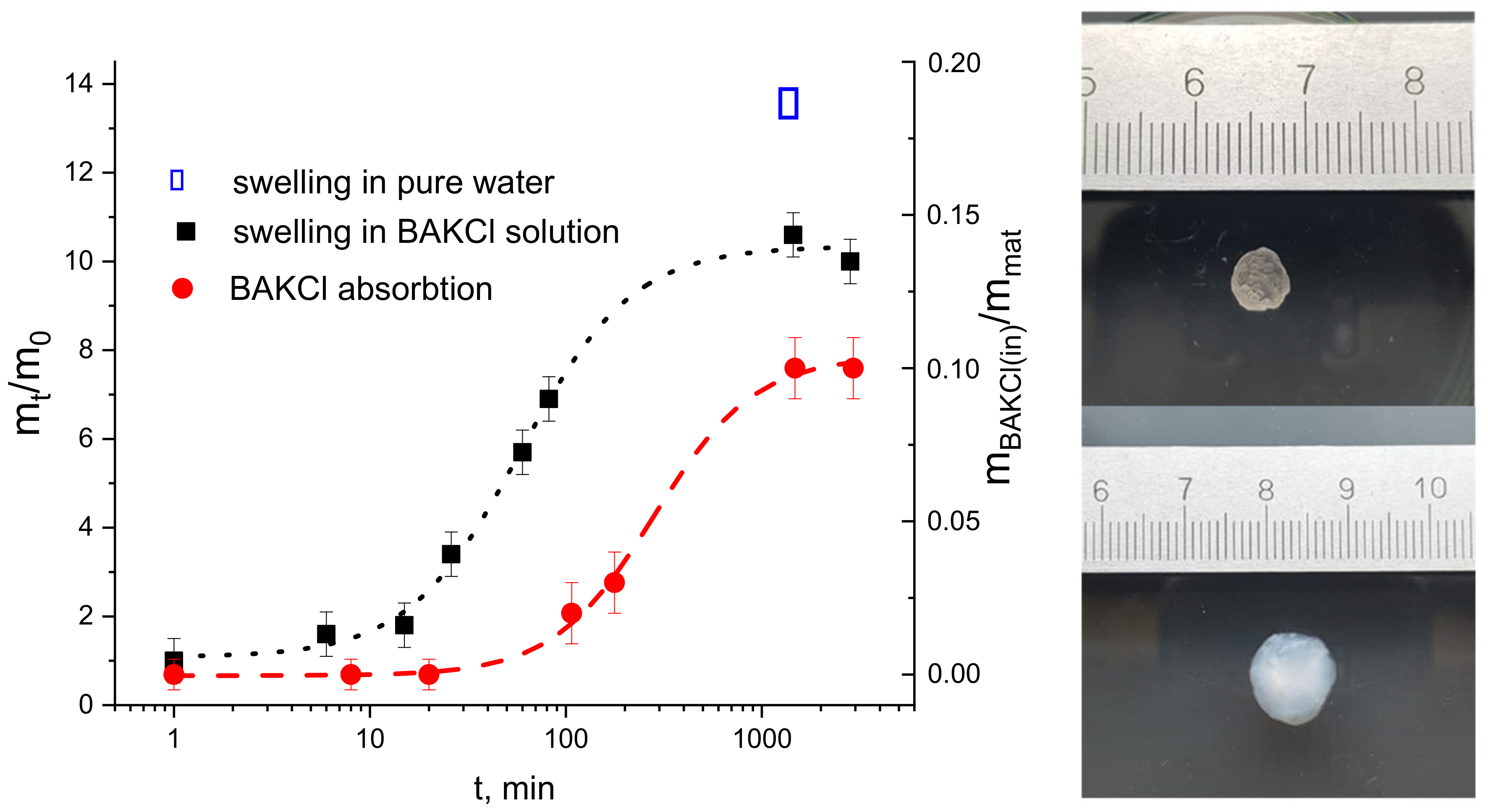 Ijms 23 04394 g003 550