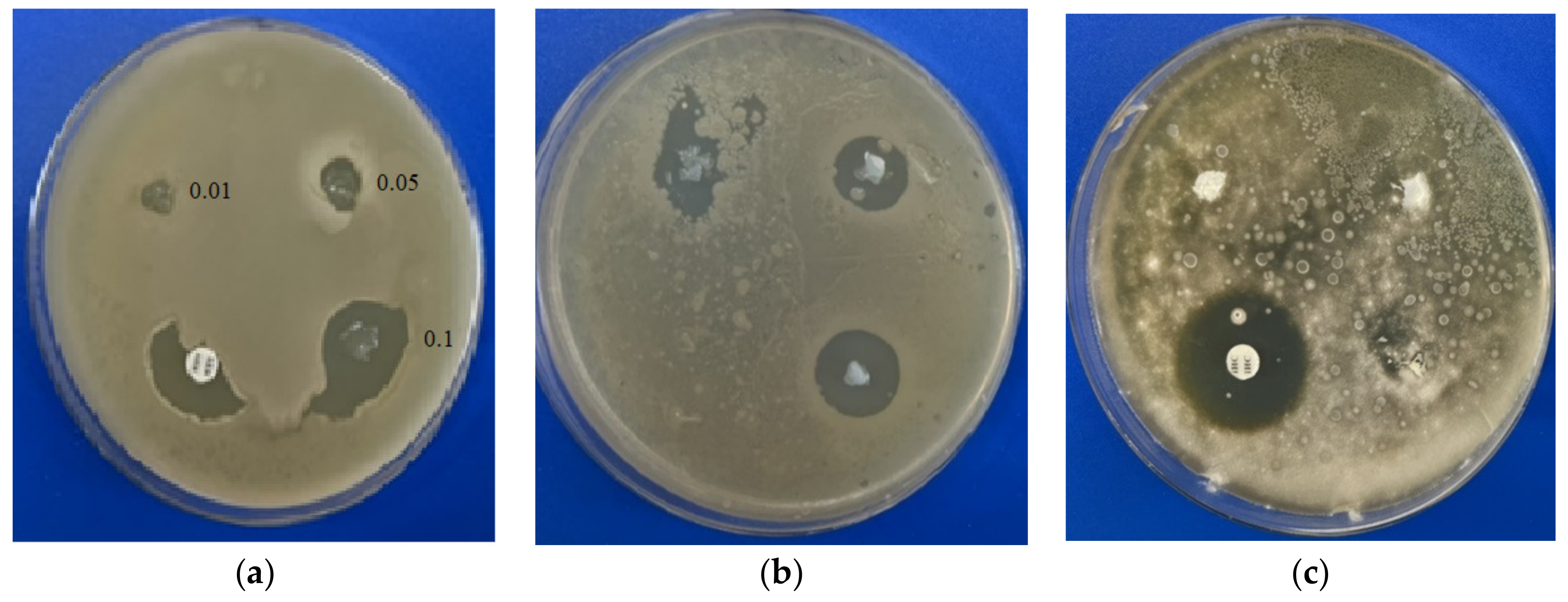 Ijms 23 04394 g004 550