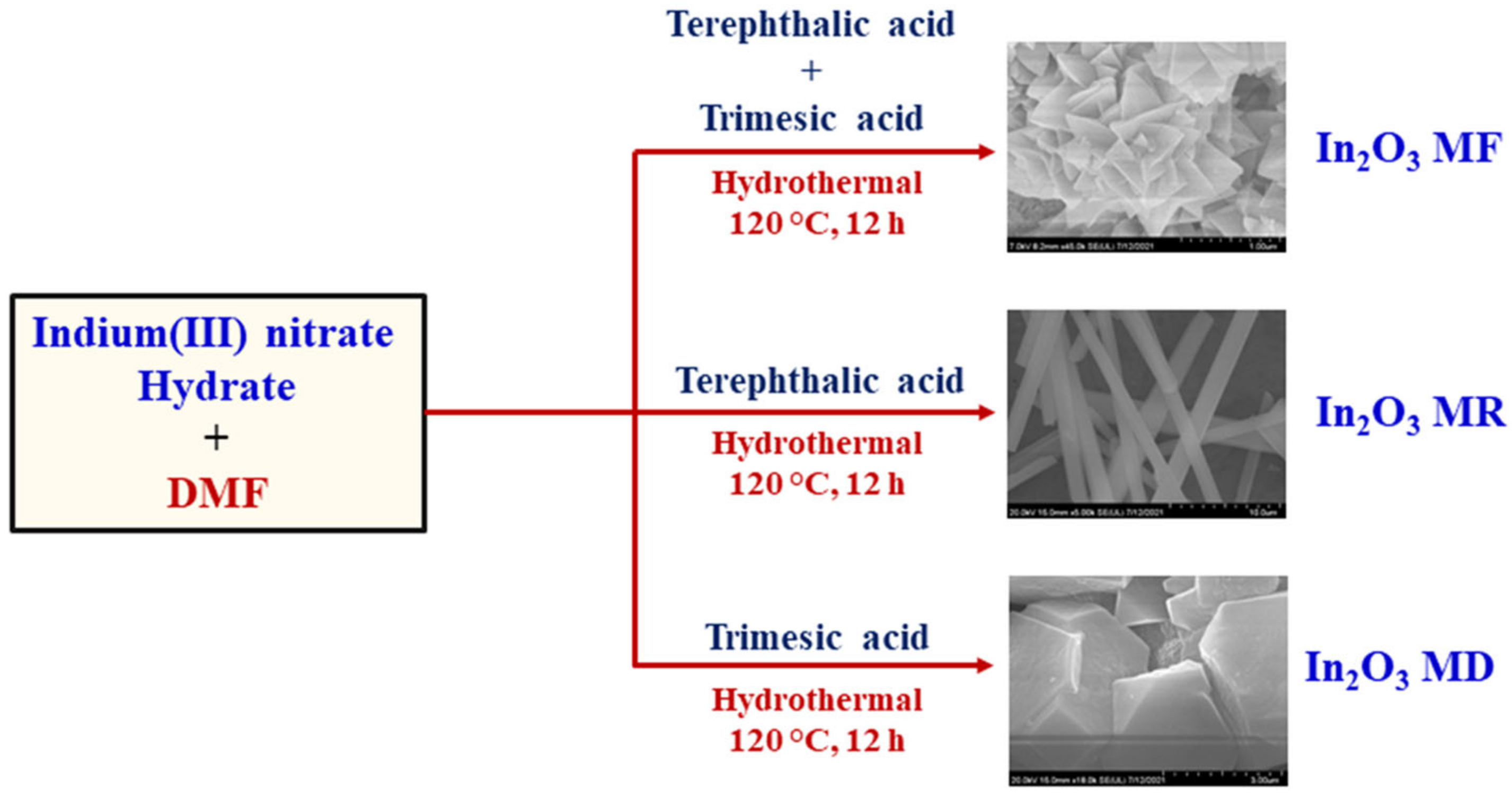 Ijms 23 04398 g001 550