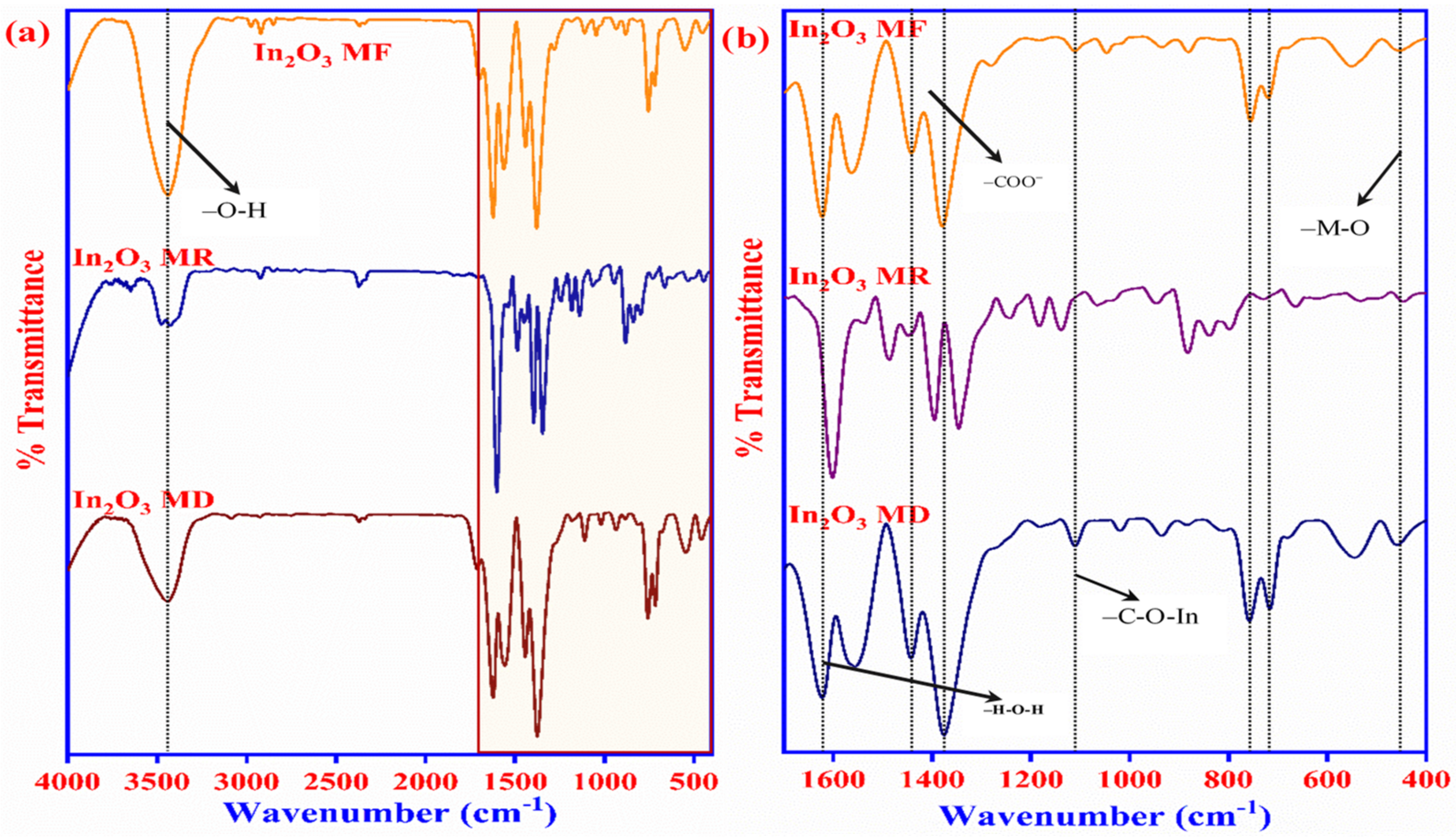 Ijms 23 04398 g002 550
