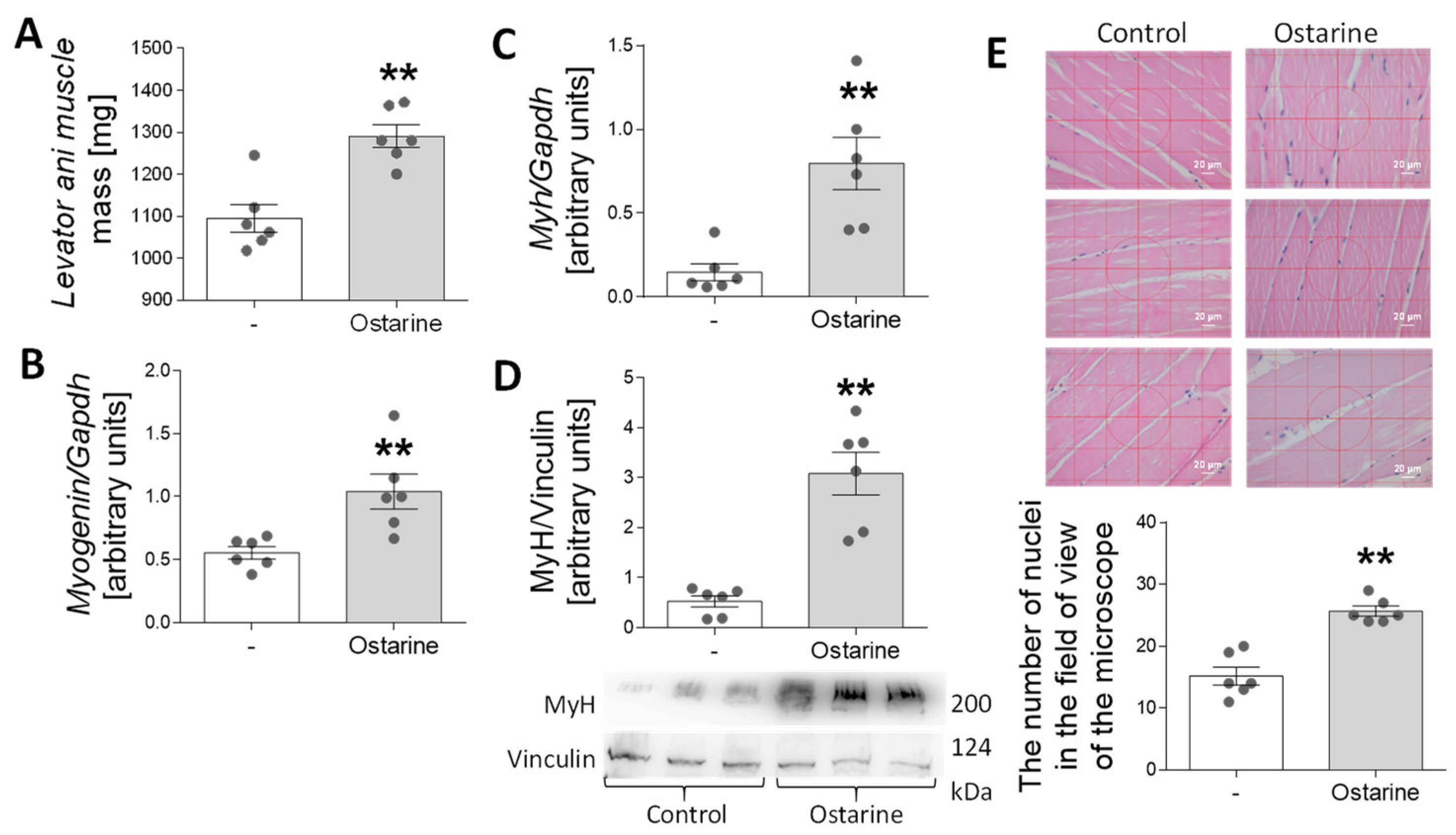 Ijms 23 04404 g007 550
