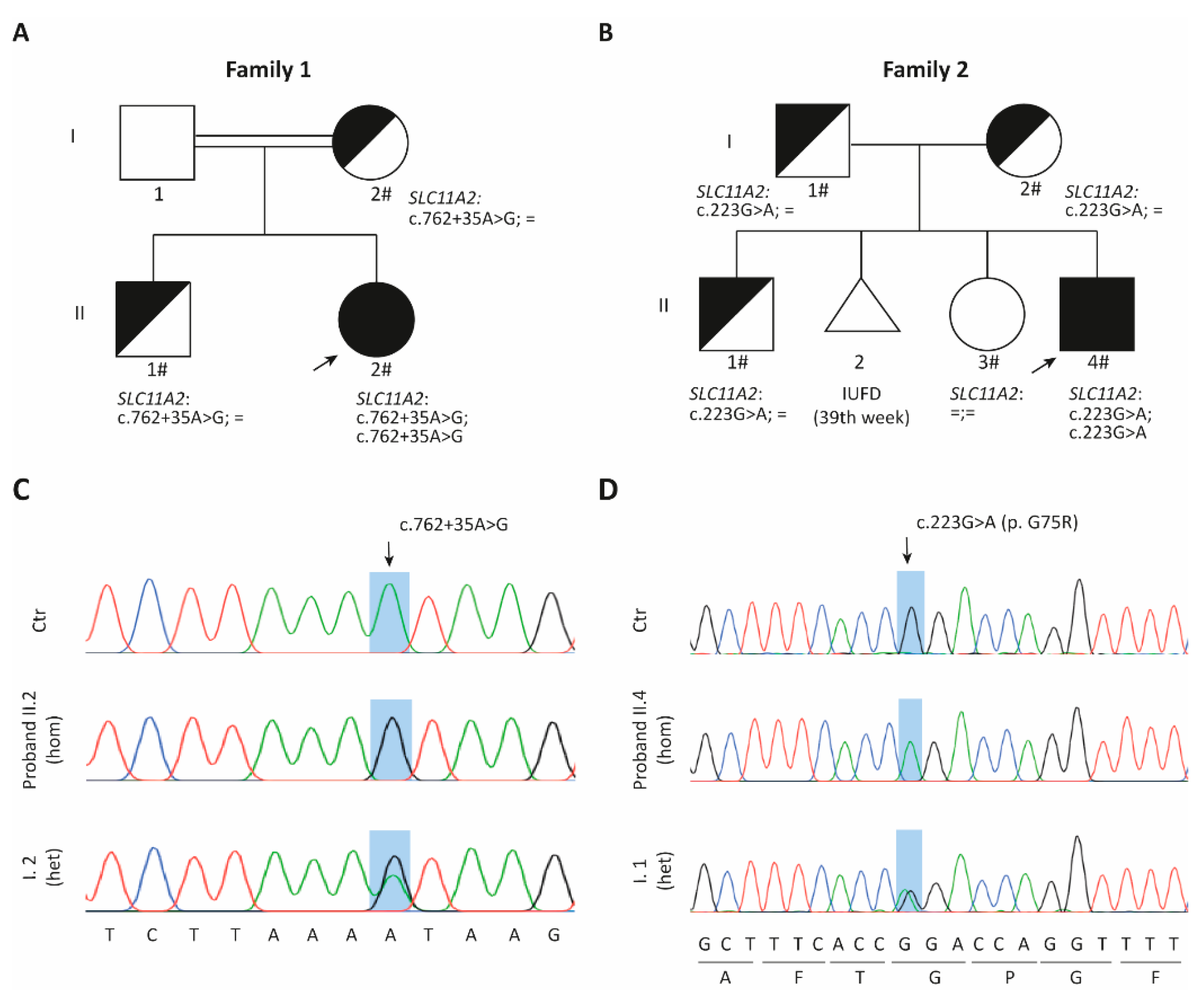 Ijms 23 04406 g001 550