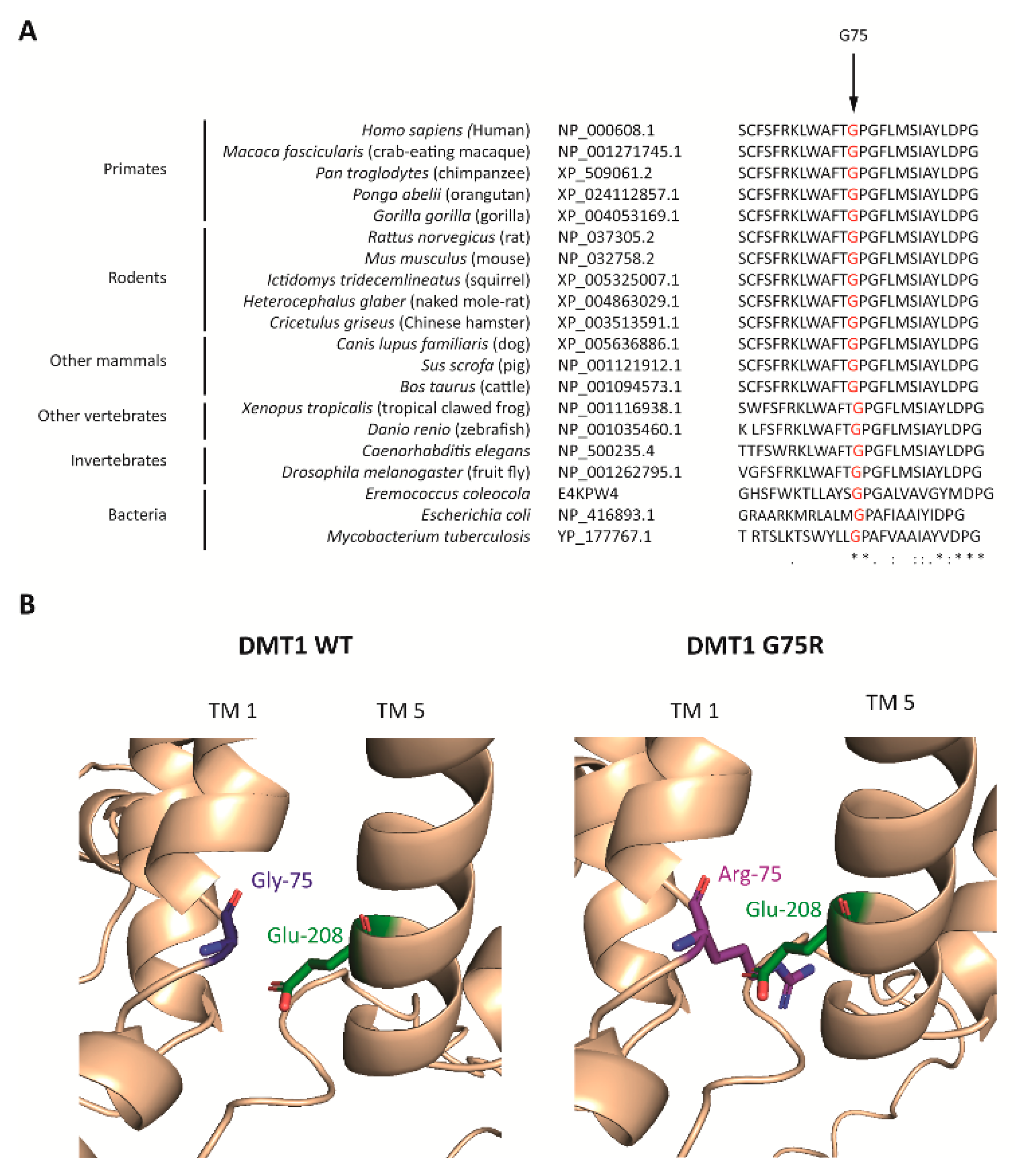 Ijms 23 04406 g003 550