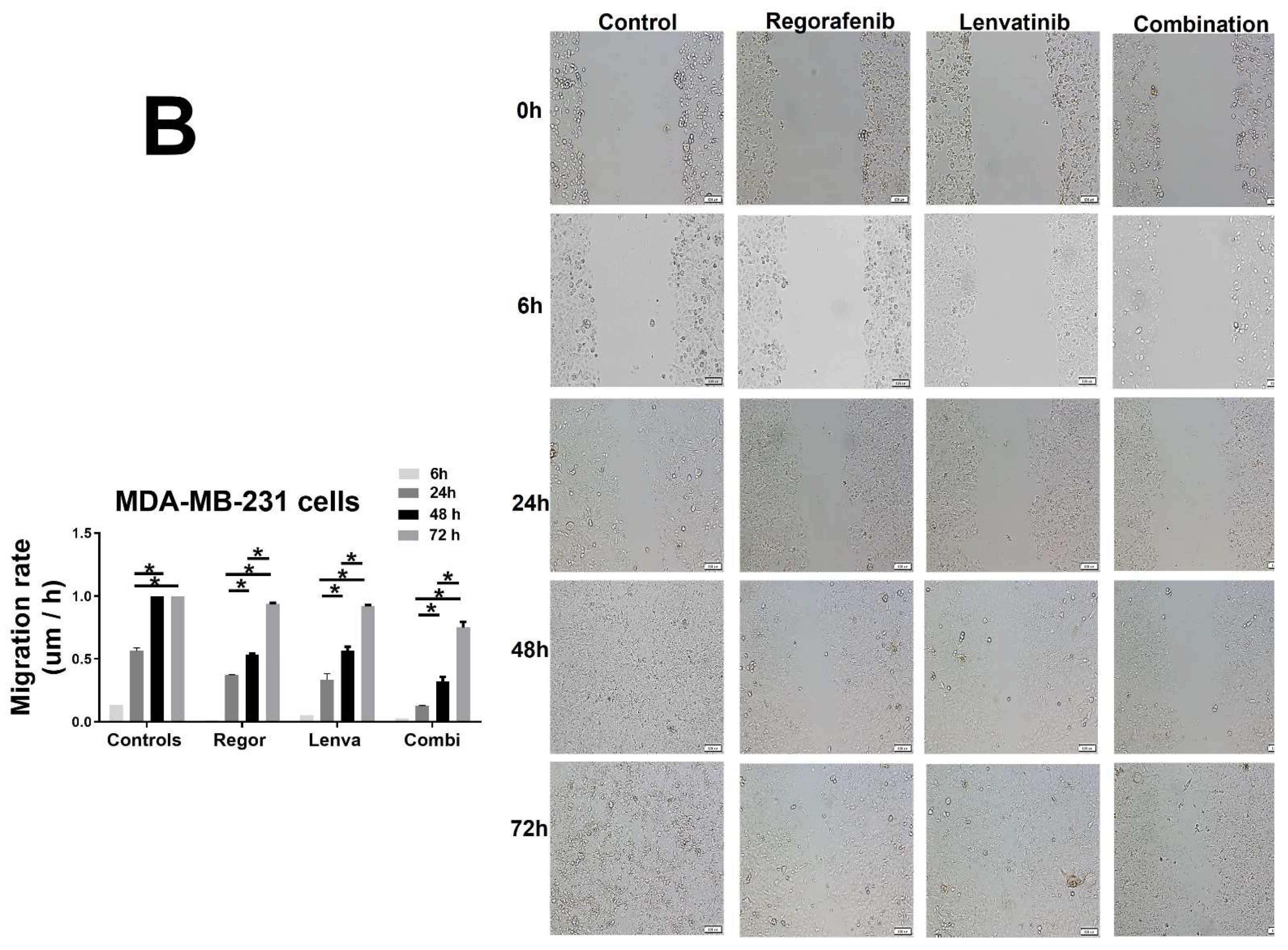 Ijms 23 04408 g003b 550