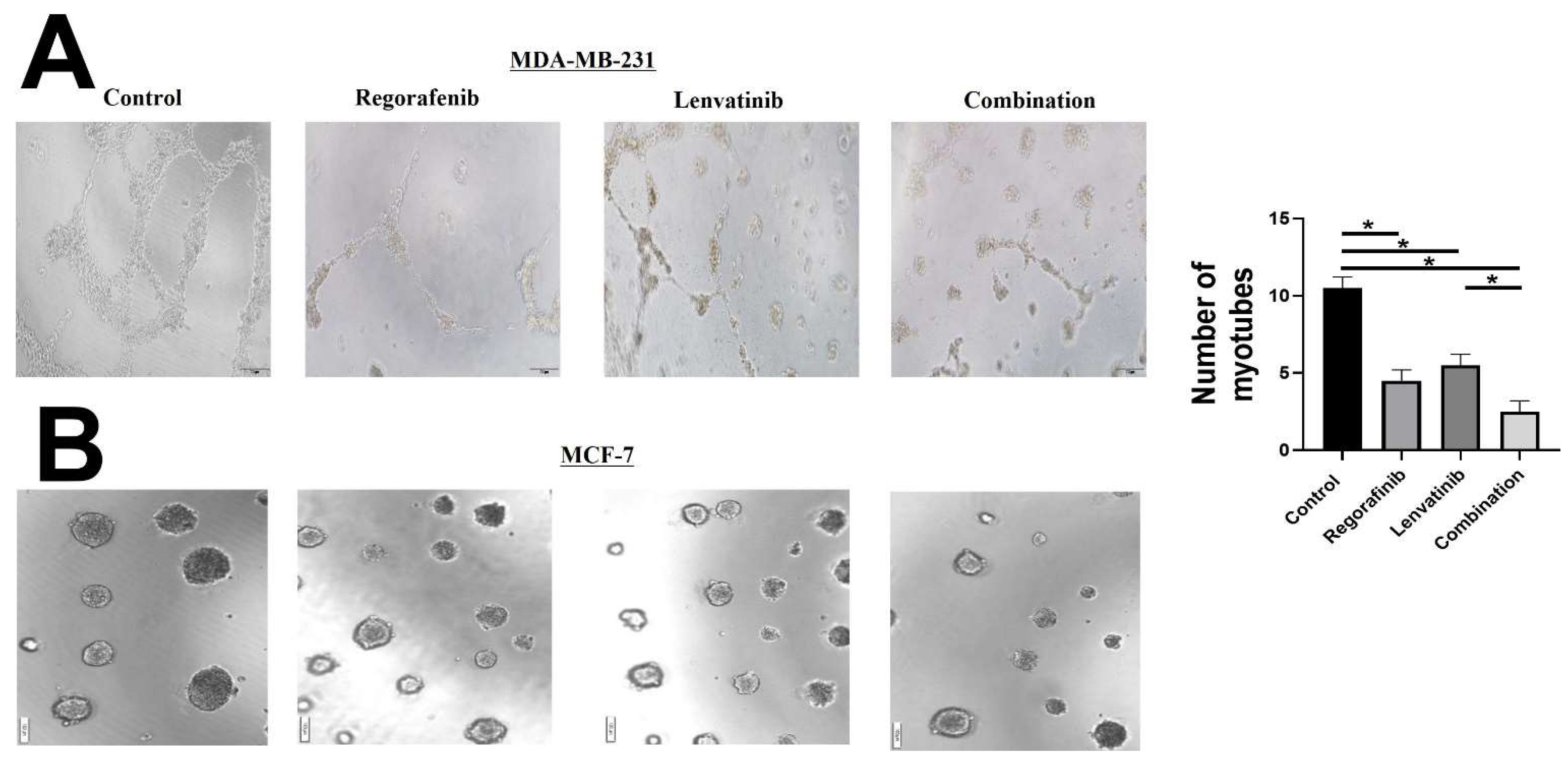 Ijms 23 04408 g005 550