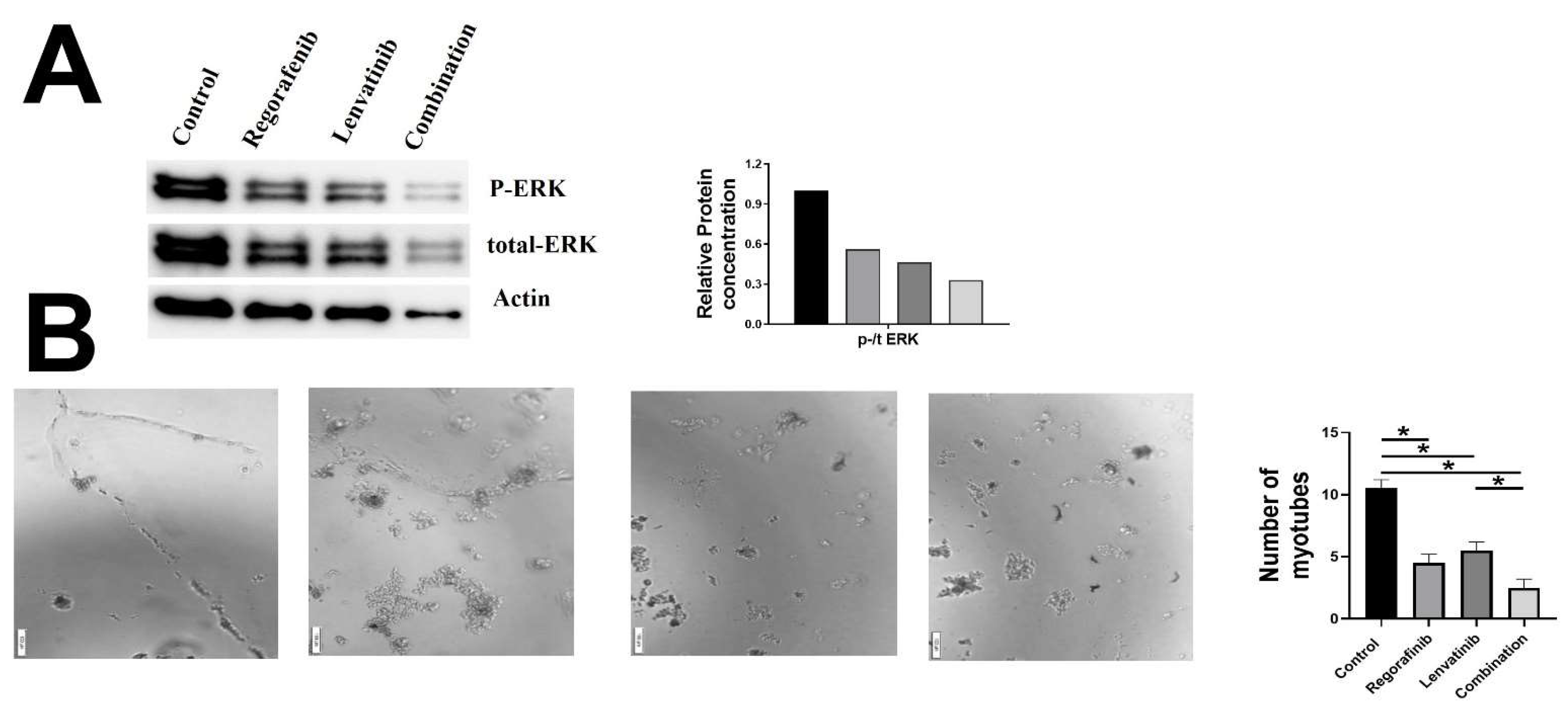 Ijms 23 04408 g006 550