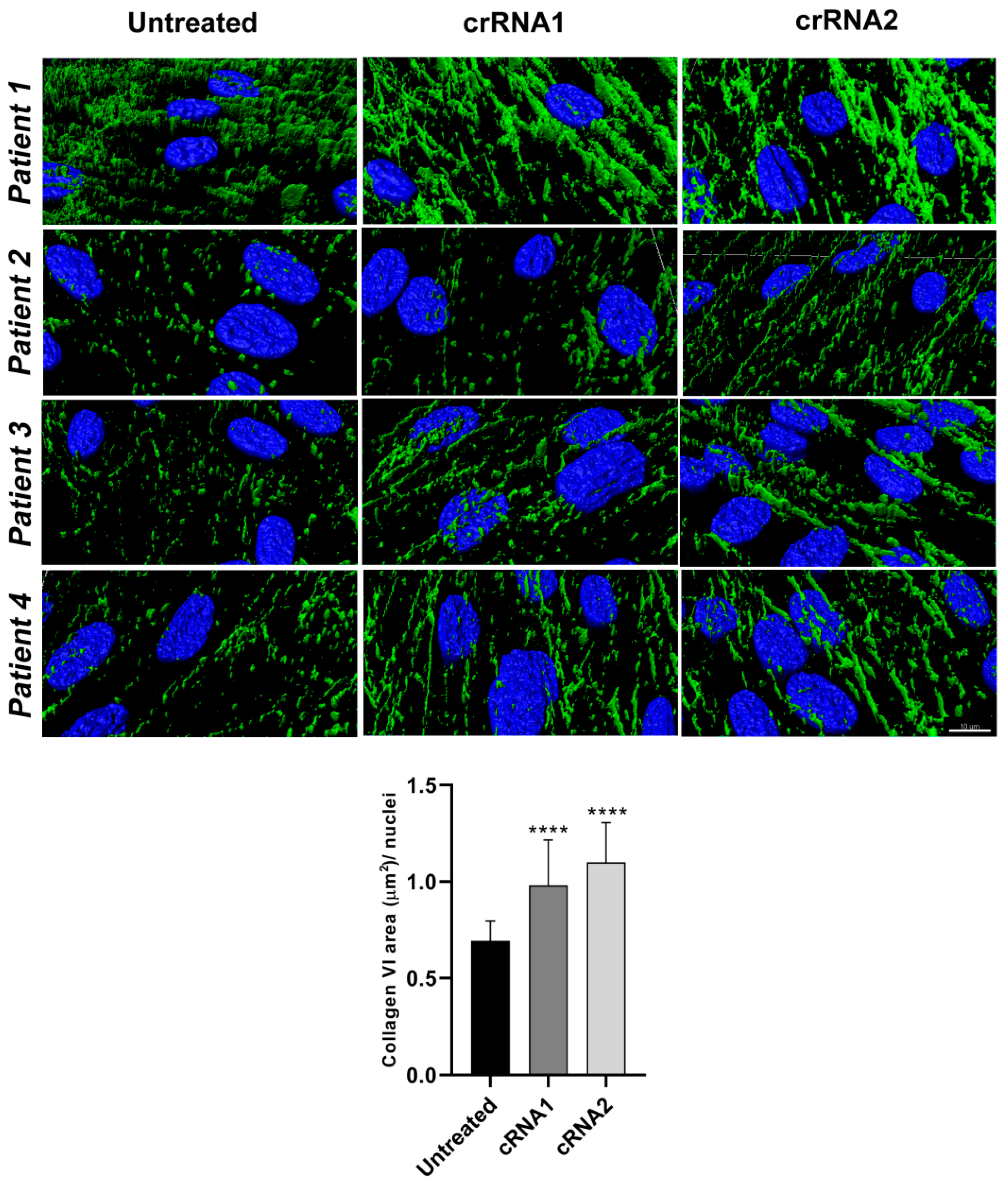 Ijms 23 04410 g006 550
