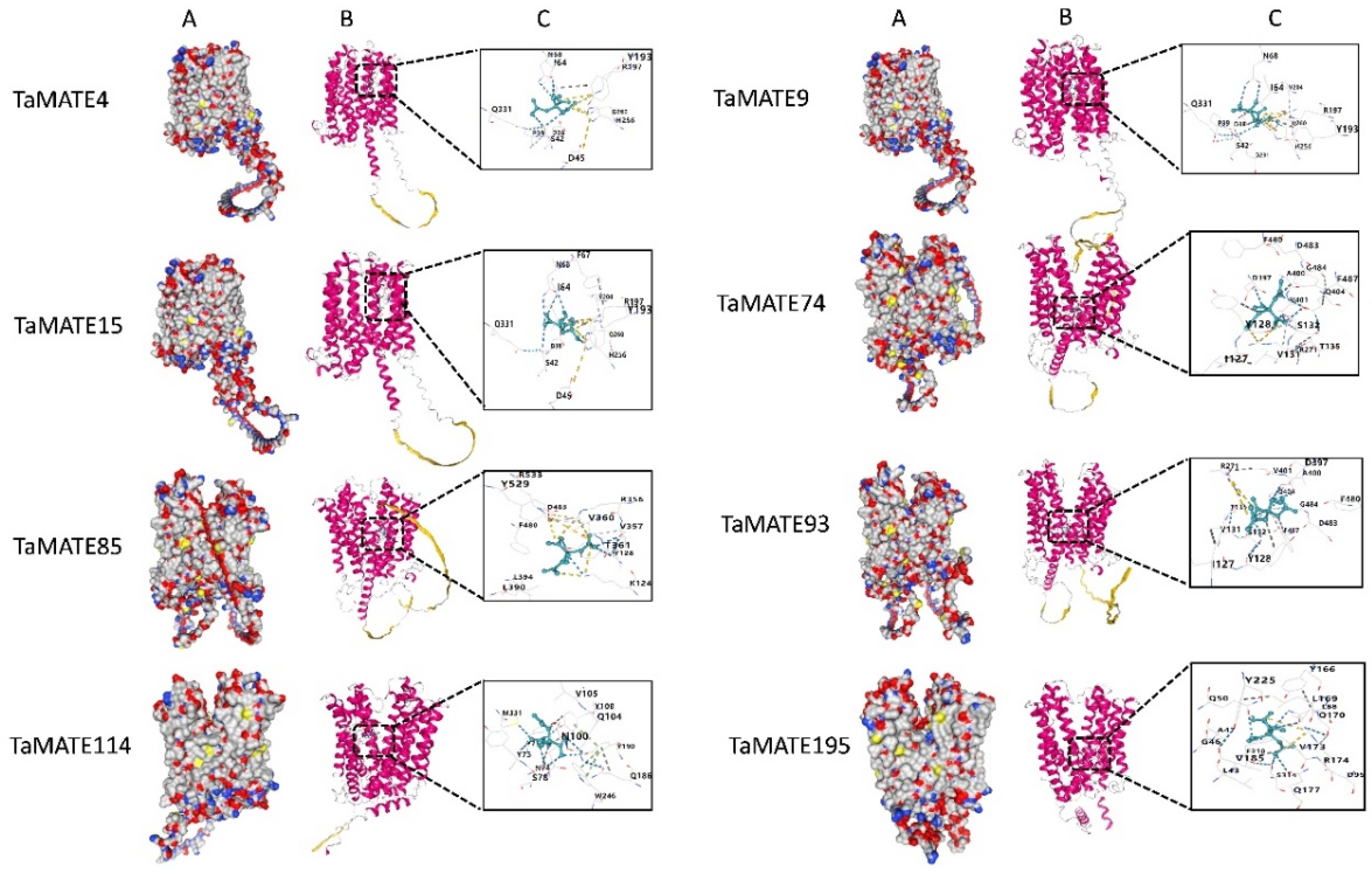 Ijms 23 04418 g008 550