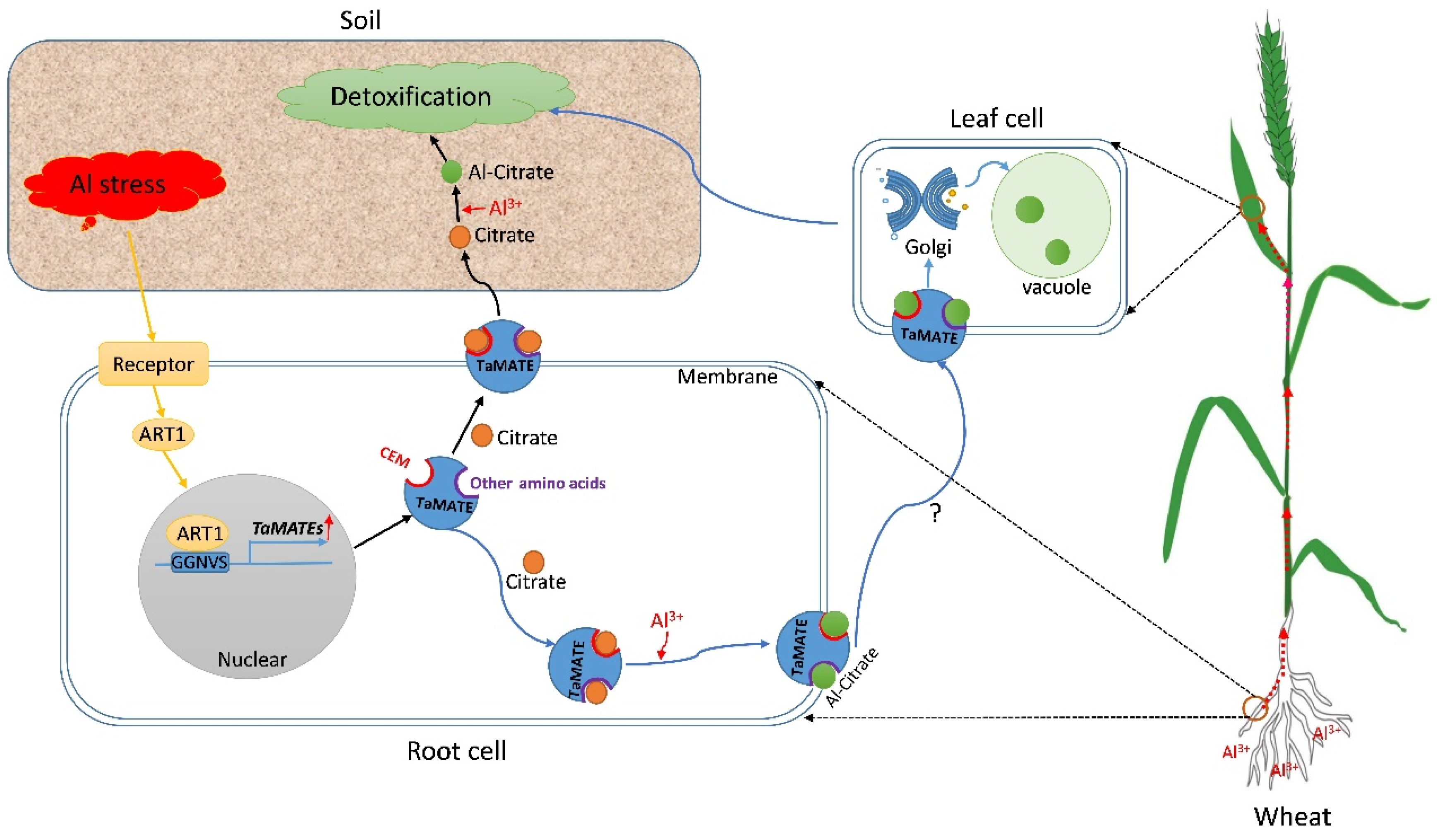 Ijms 23 04418 g009 550