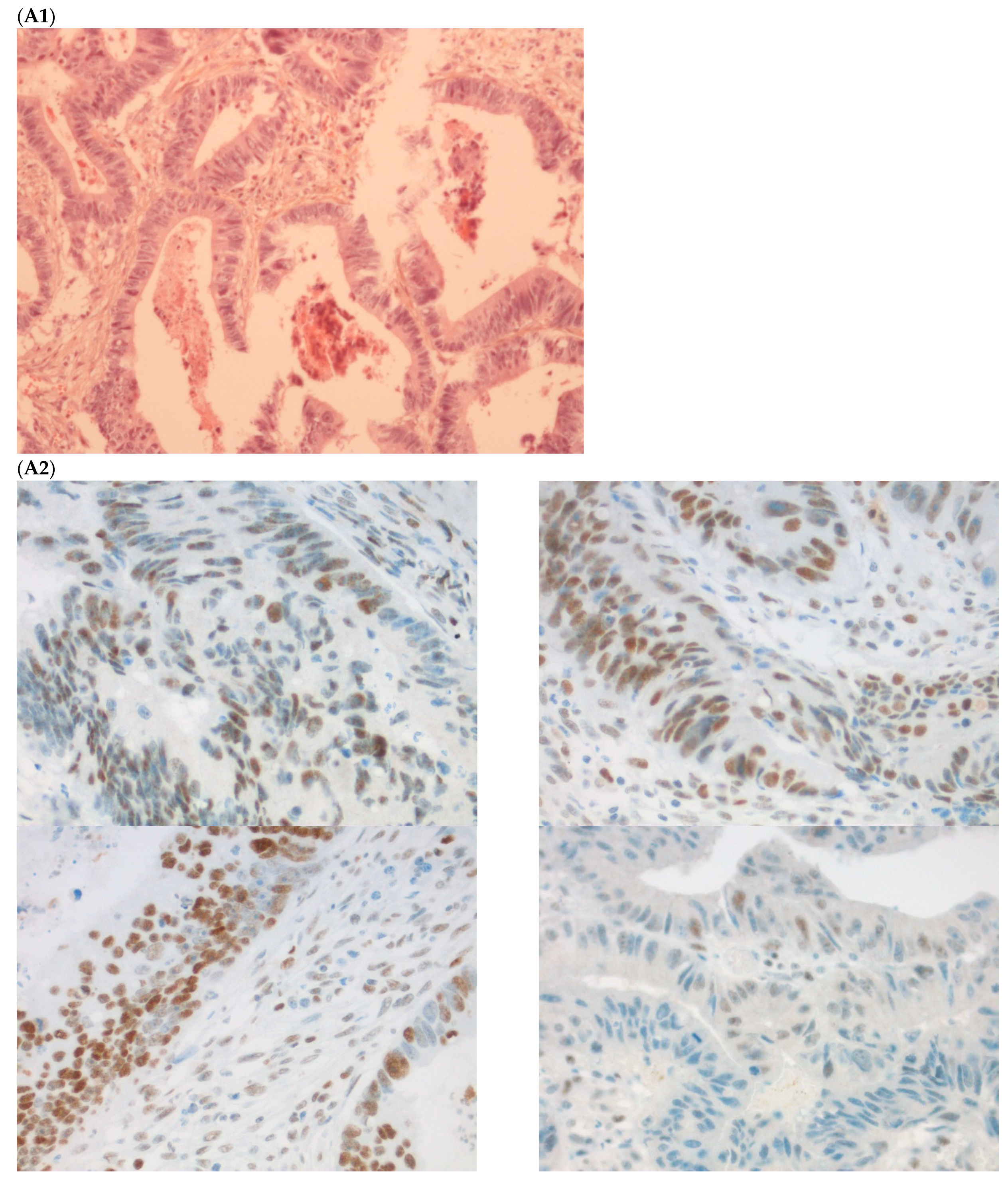 Ijms 23 04427 g002a 550