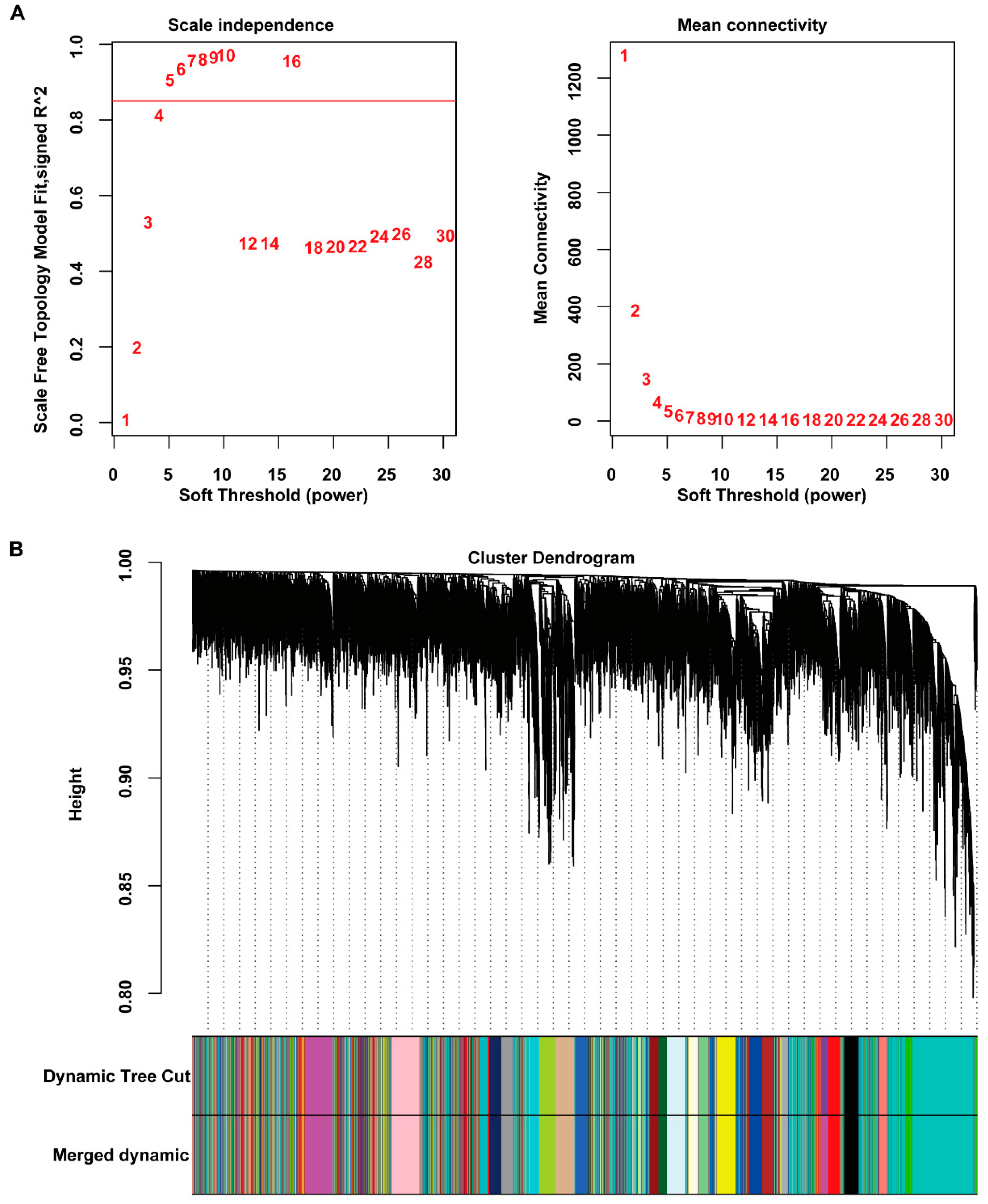 Ijms 23 04436 g002 550