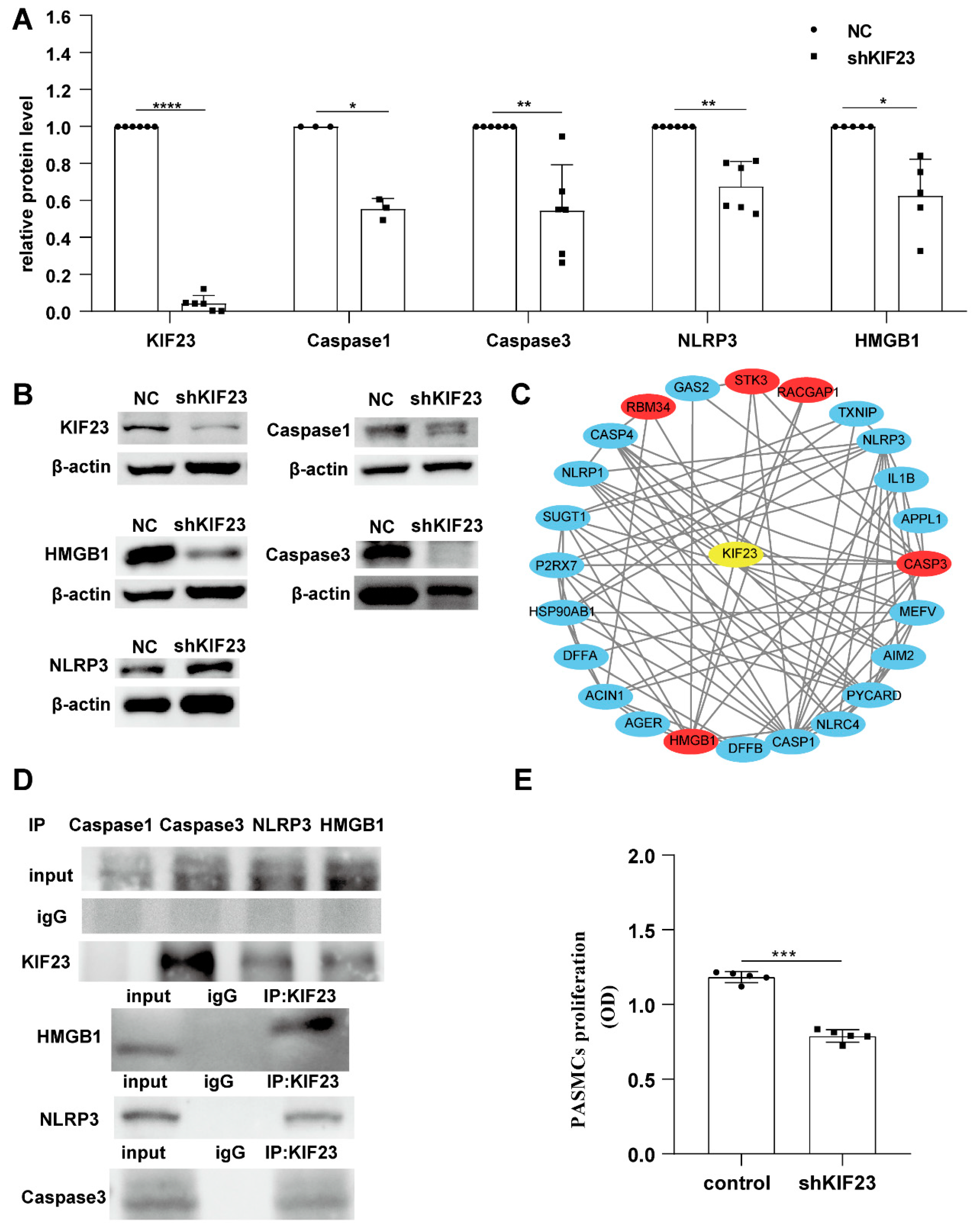 Ijms 23 04436 g006 550