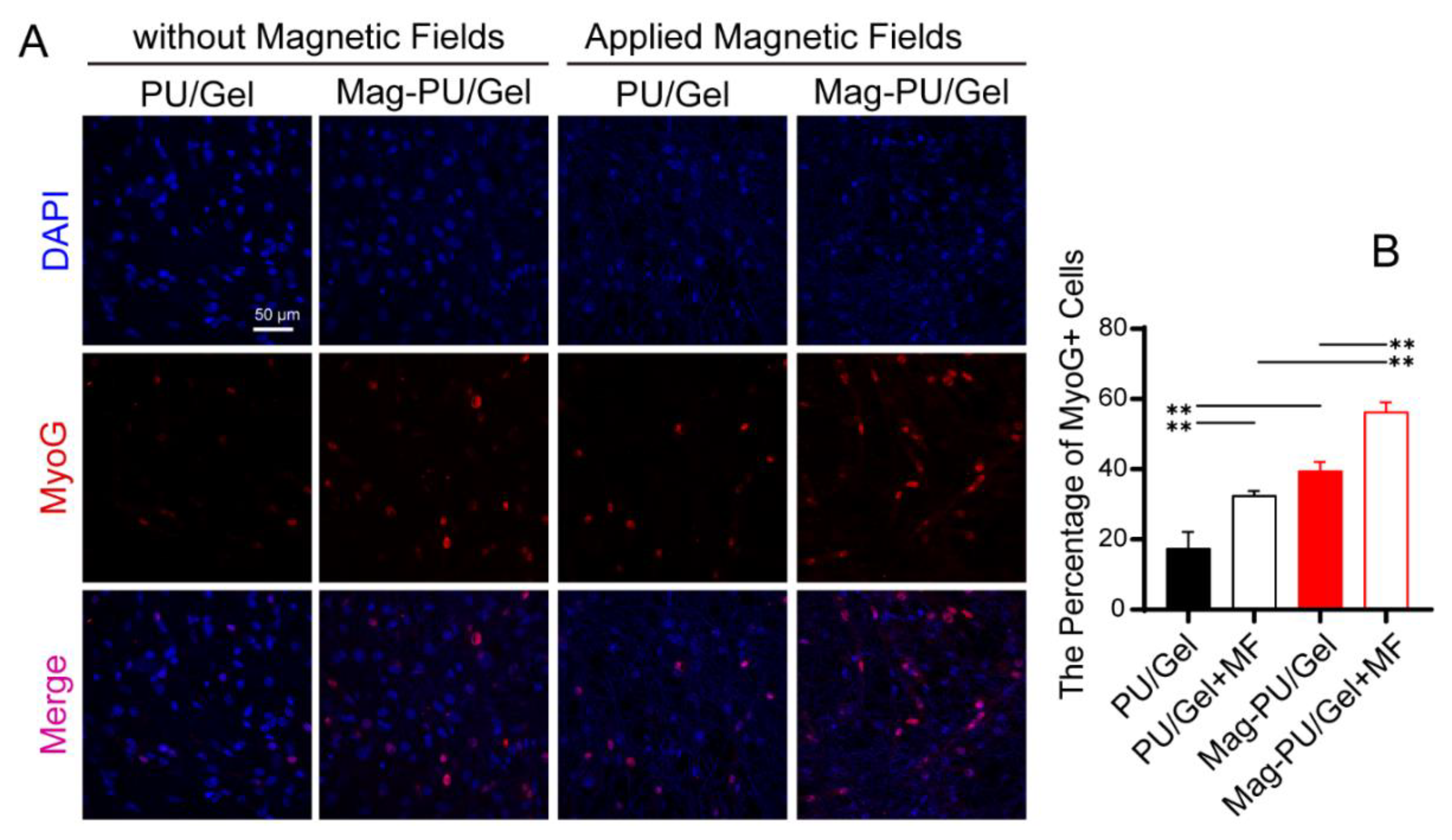 Ijms 23 04440 g003 550