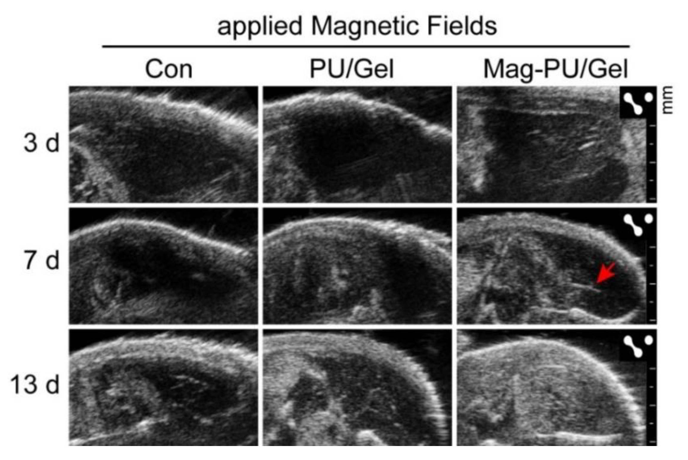 Ijms 23 04440 g007 550