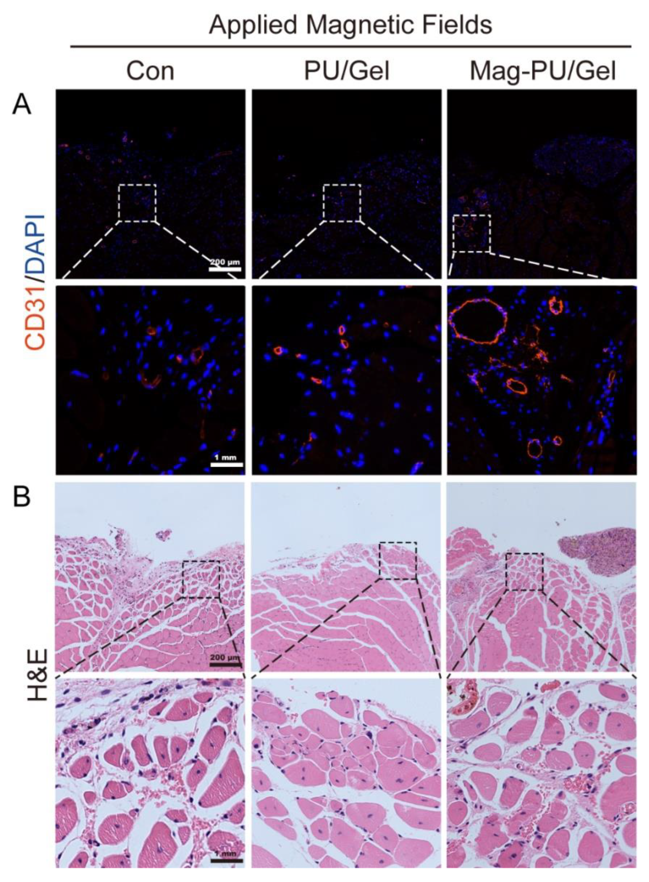 Ijms 23 04440 g008 550