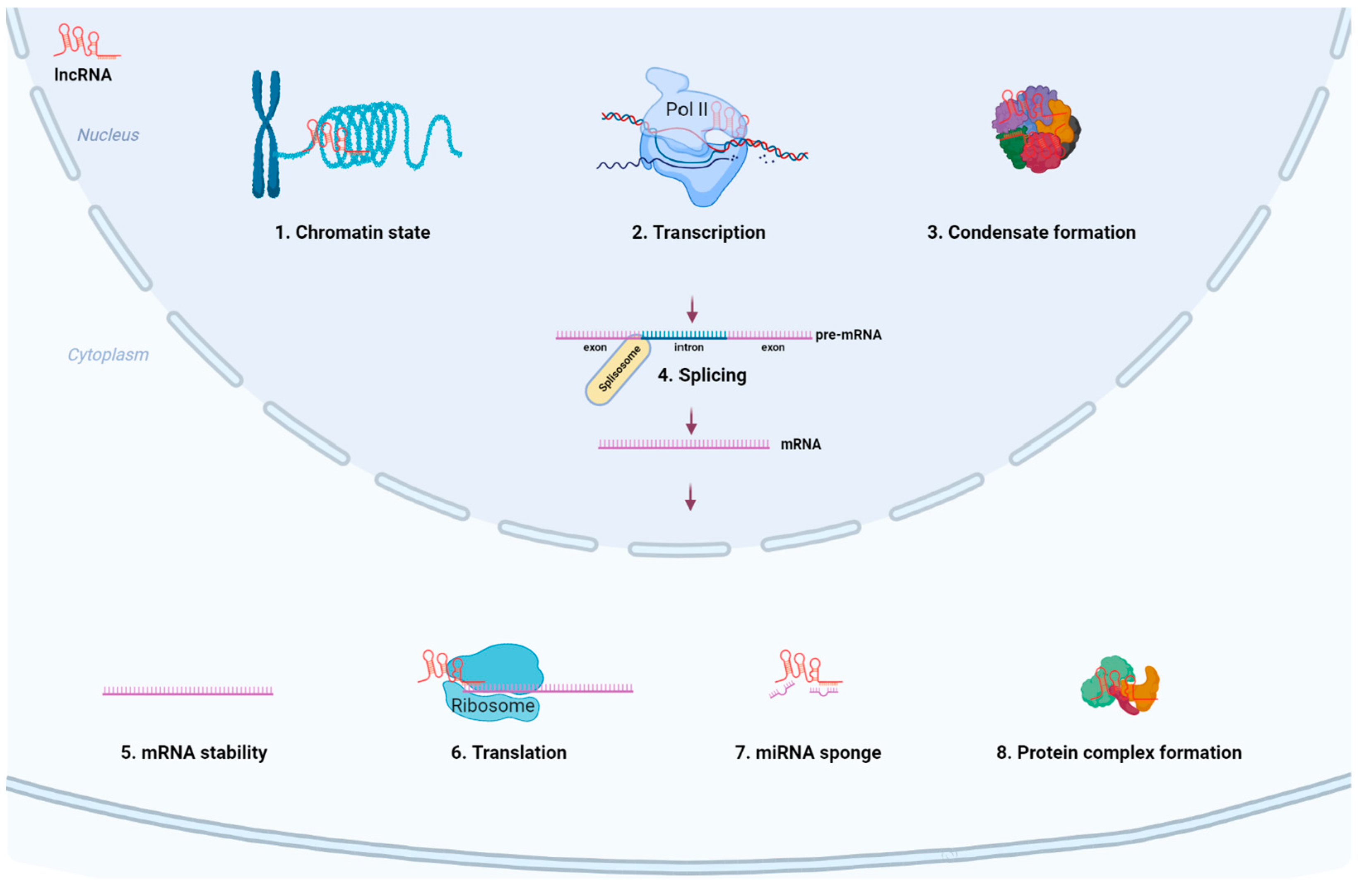 Ijms 23 04442 g002 Ijms 23 04442 g002