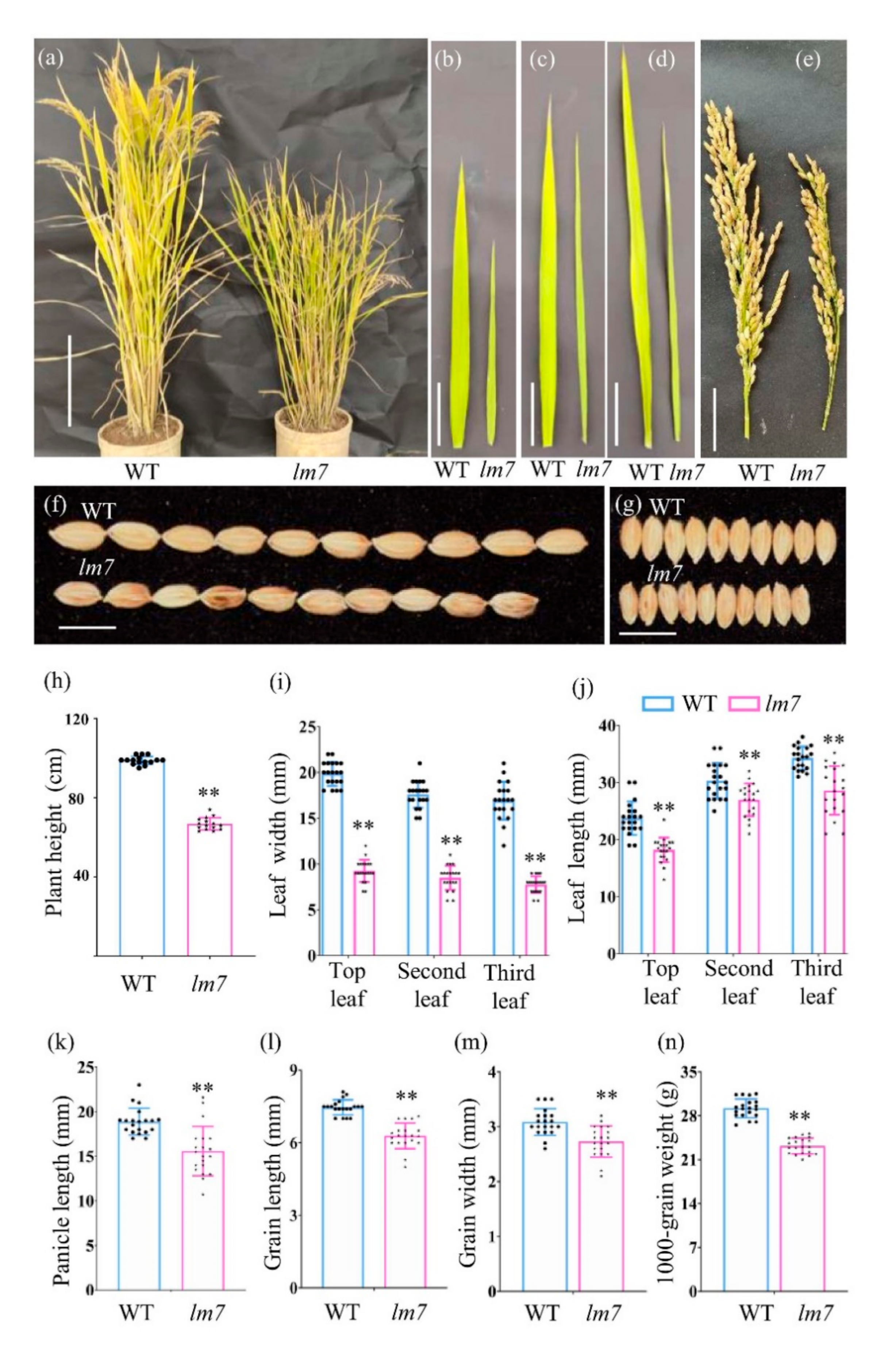 Ijms 23 04446 g001 550