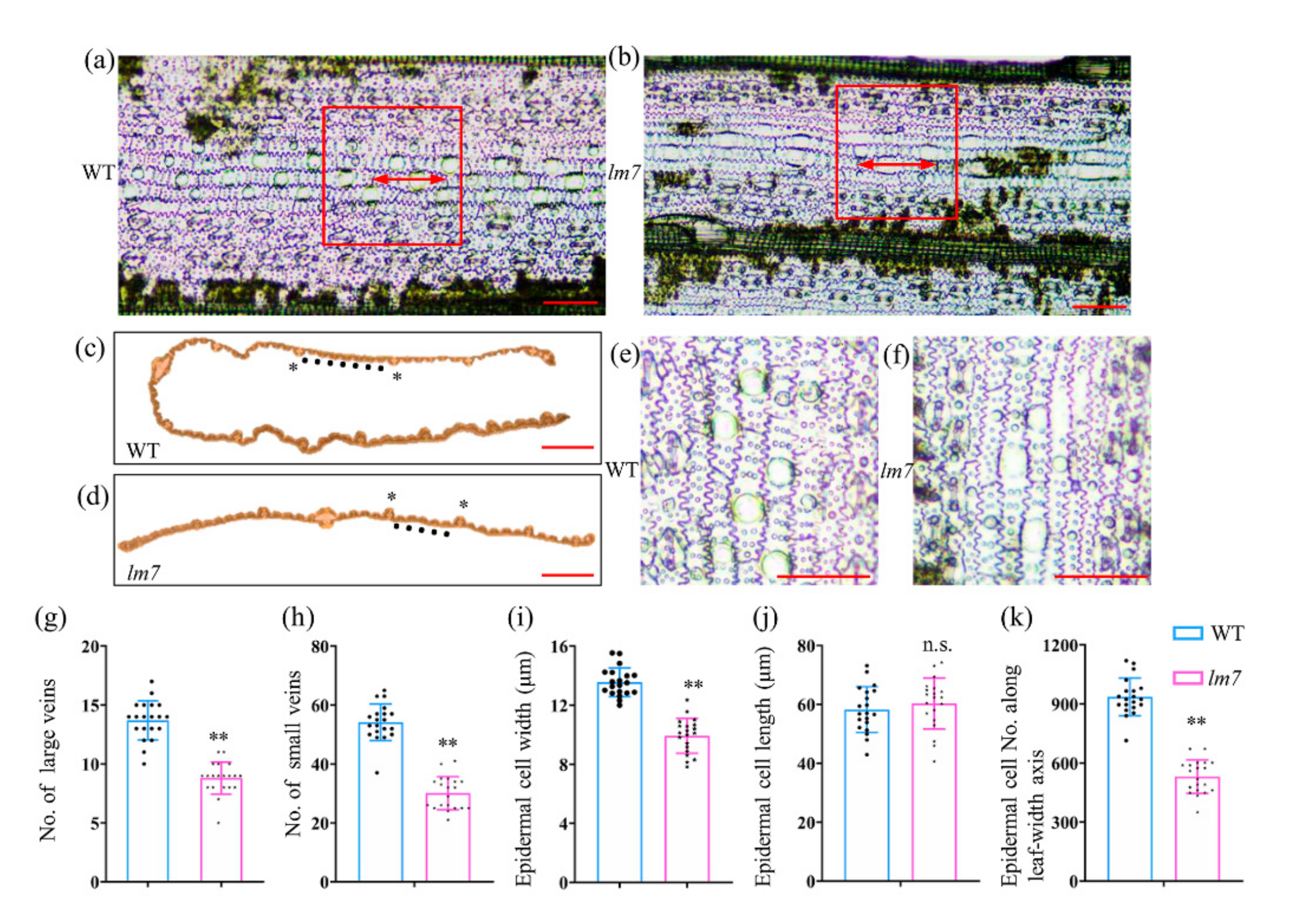 Ijms 23 04446 g002 550