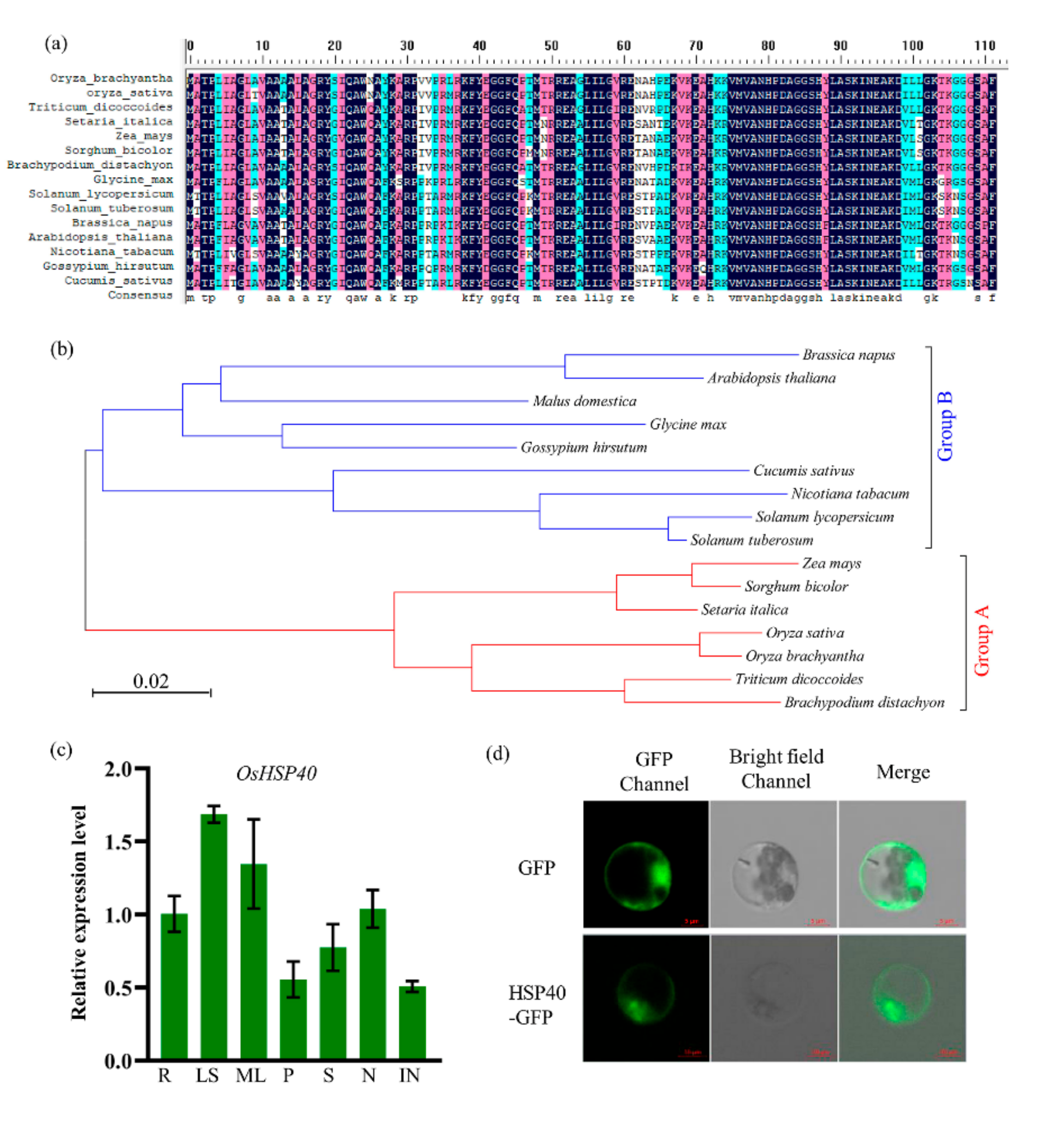 Ijms 23 04446 g005 550