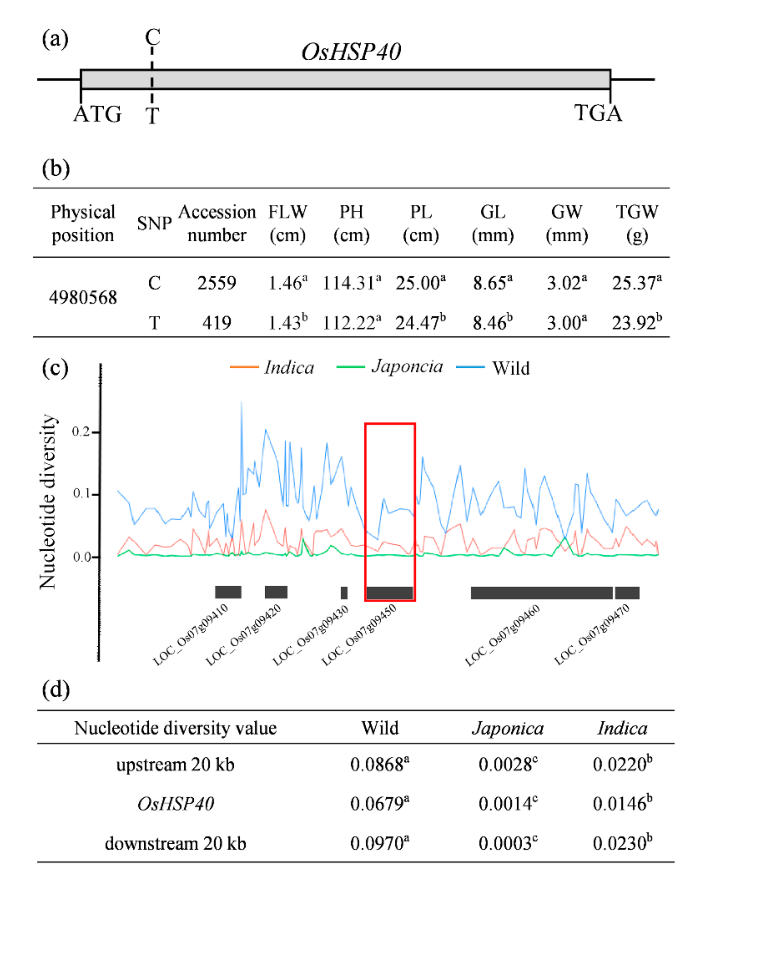 Ijms 23 04446 g006 550