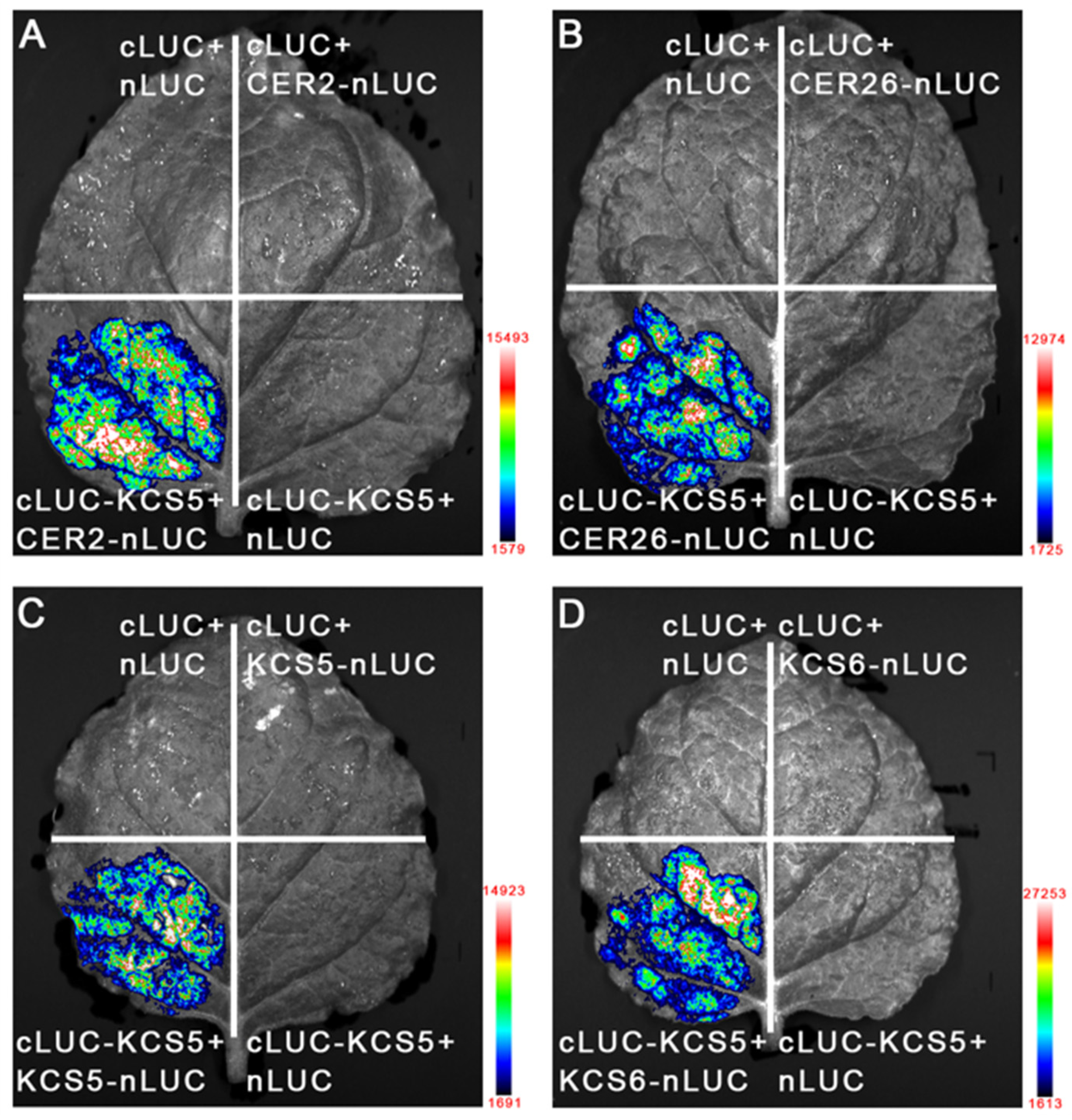 Ijms 23 04450 g003 550