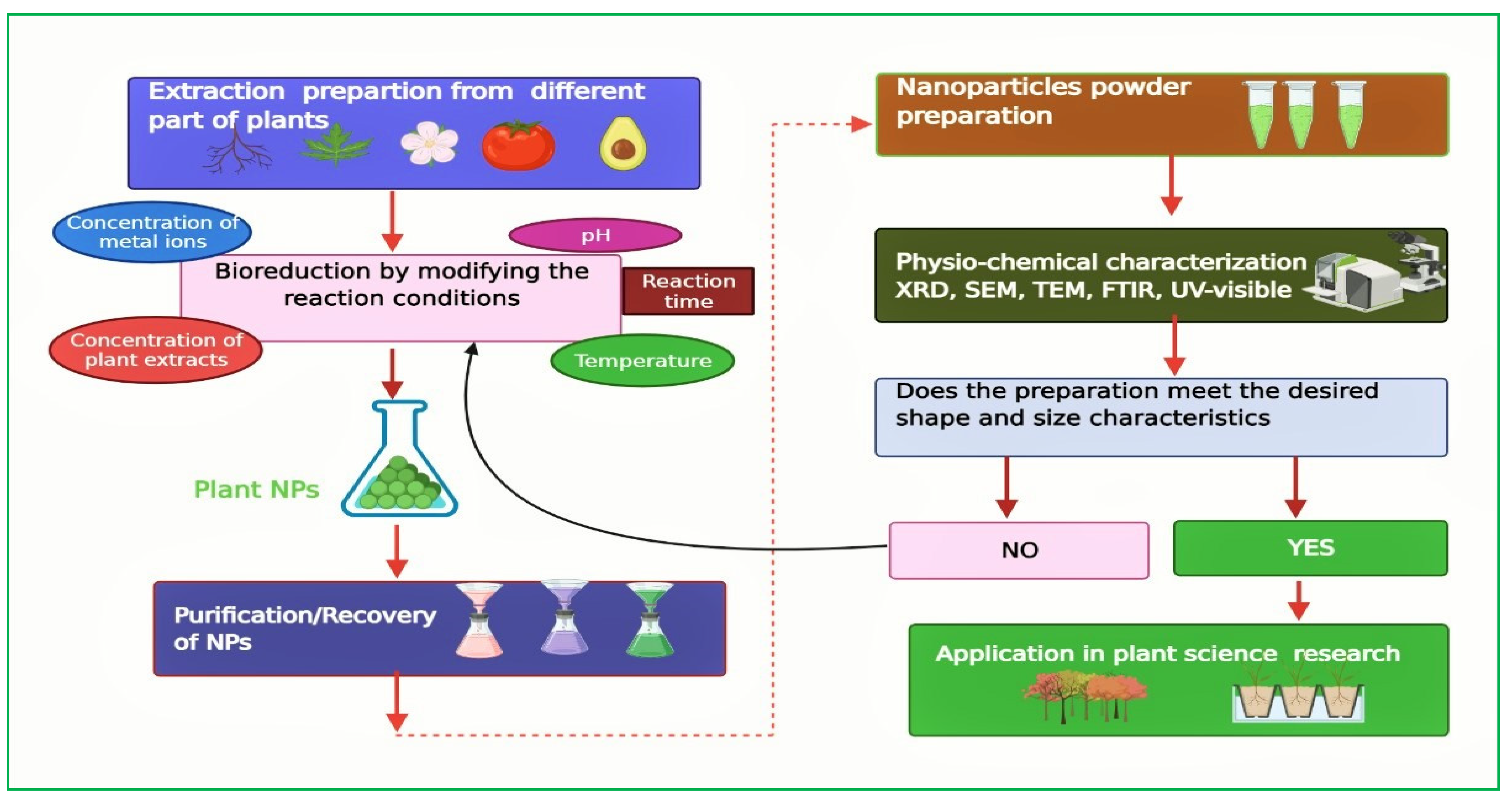 Ijms 23 04452 g002 550