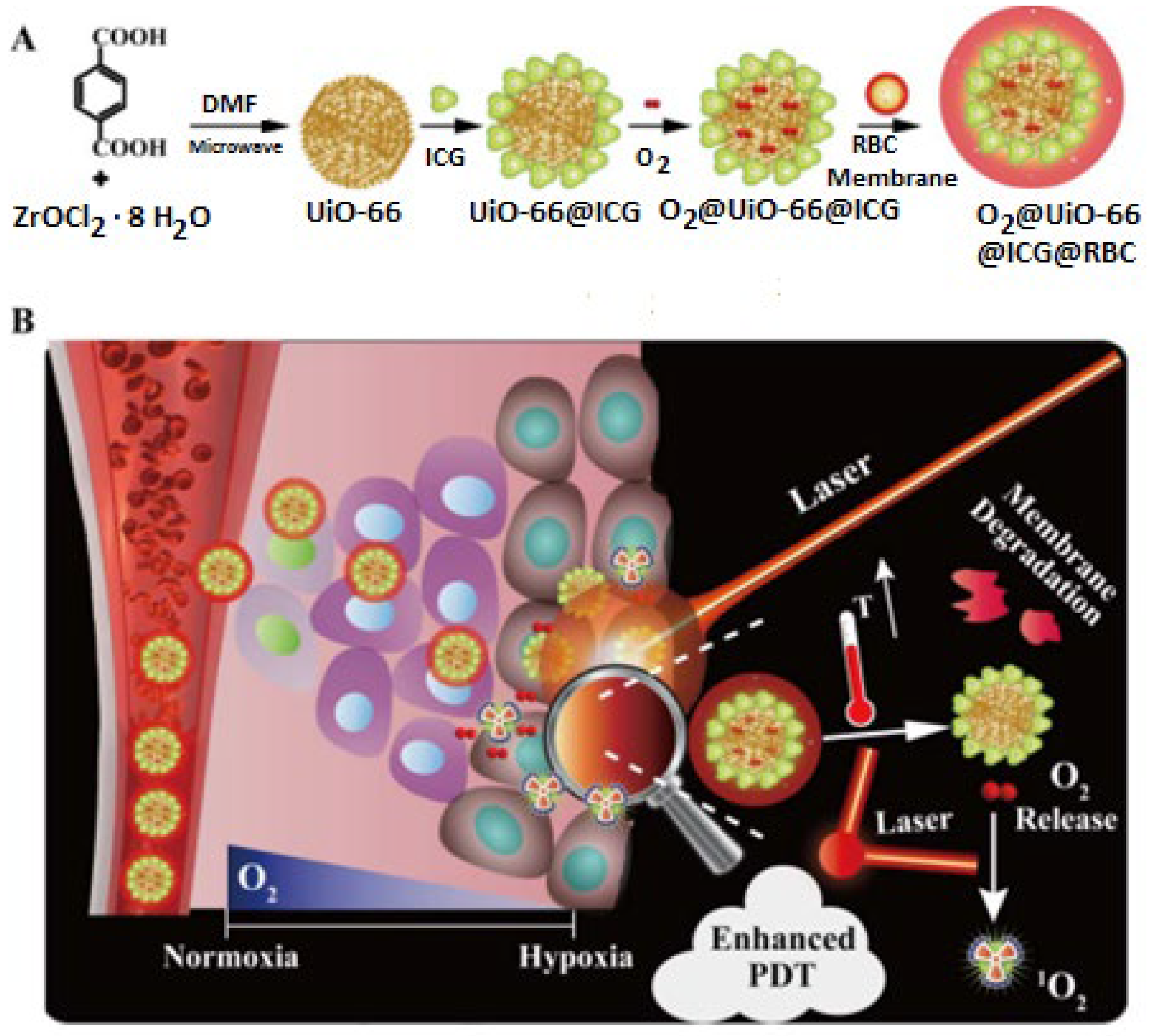 Ijms 23 04458 g005 550