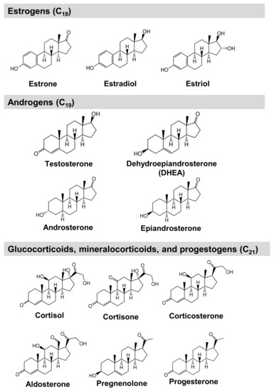 IJMS Free Full-Text Metabolic Alteration Analysis of Steroid Hormones in Niemannandndash;Pick Disease Type C Model Cell Using Liquid Chromatography/Tandem Mass Spectrometry picture