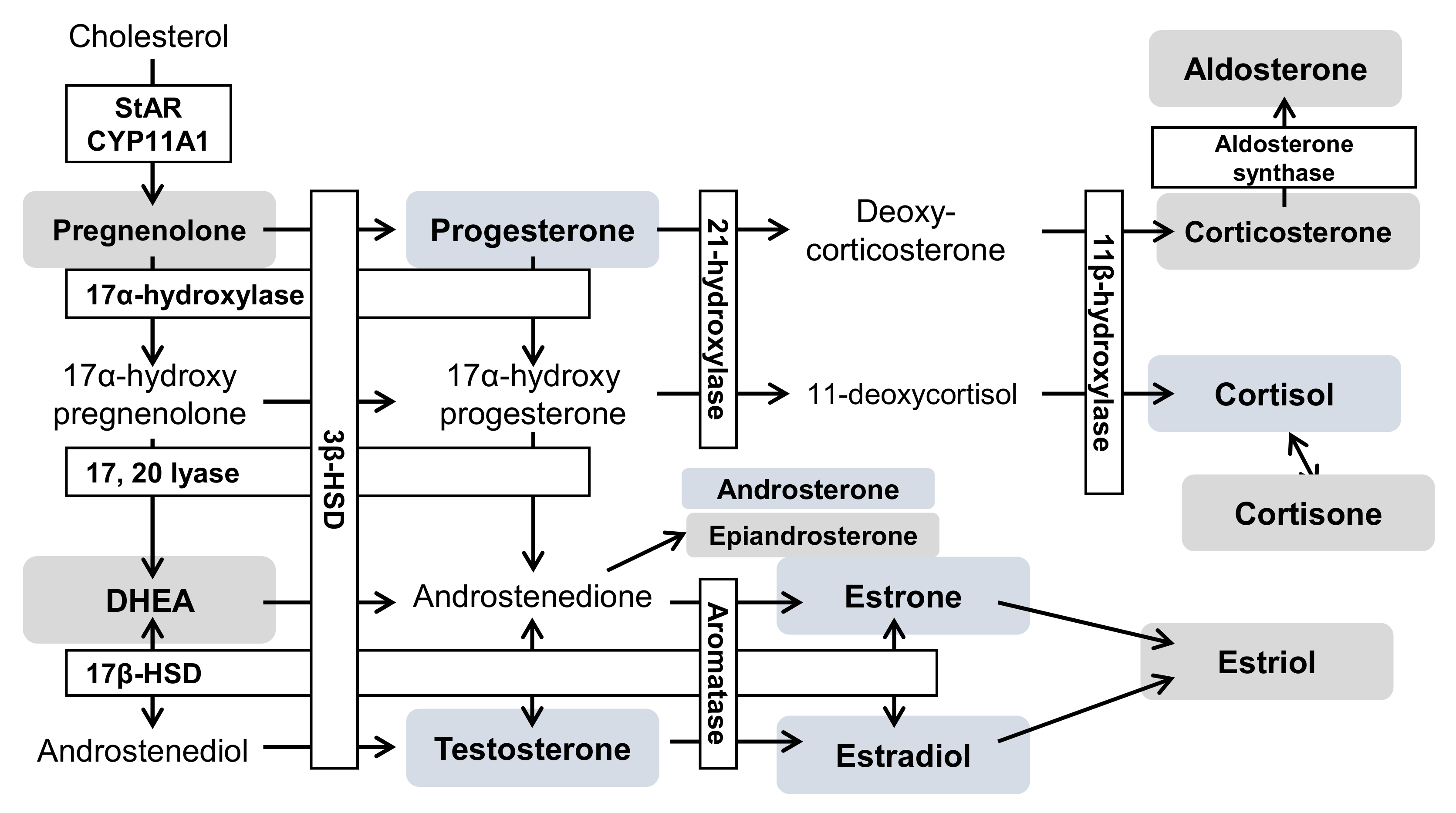 Ijms 23 04459 g006 Ijms 23 04459 g006