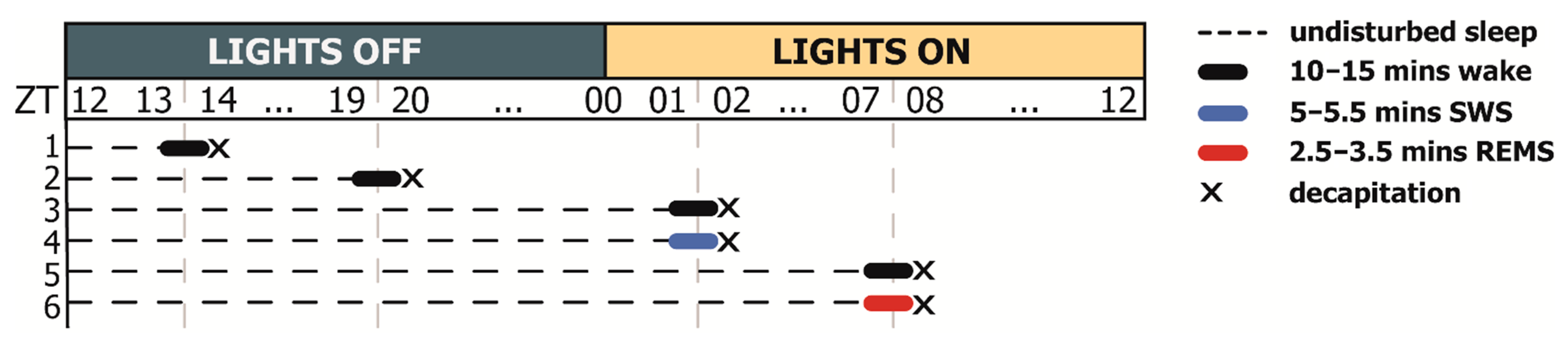 Ijms 23 04464 g009 Ijms 23 04464 g009