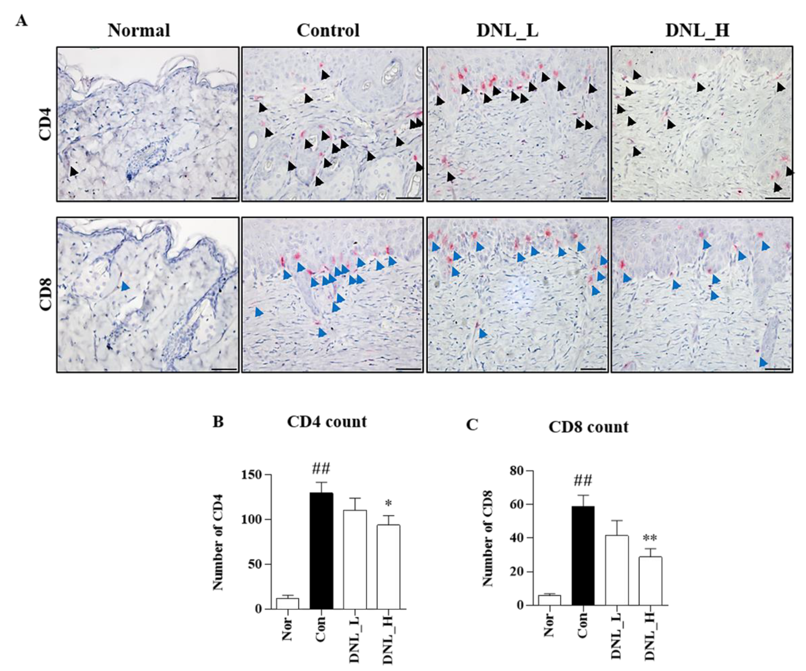 Ijms 23 04470 g004 550