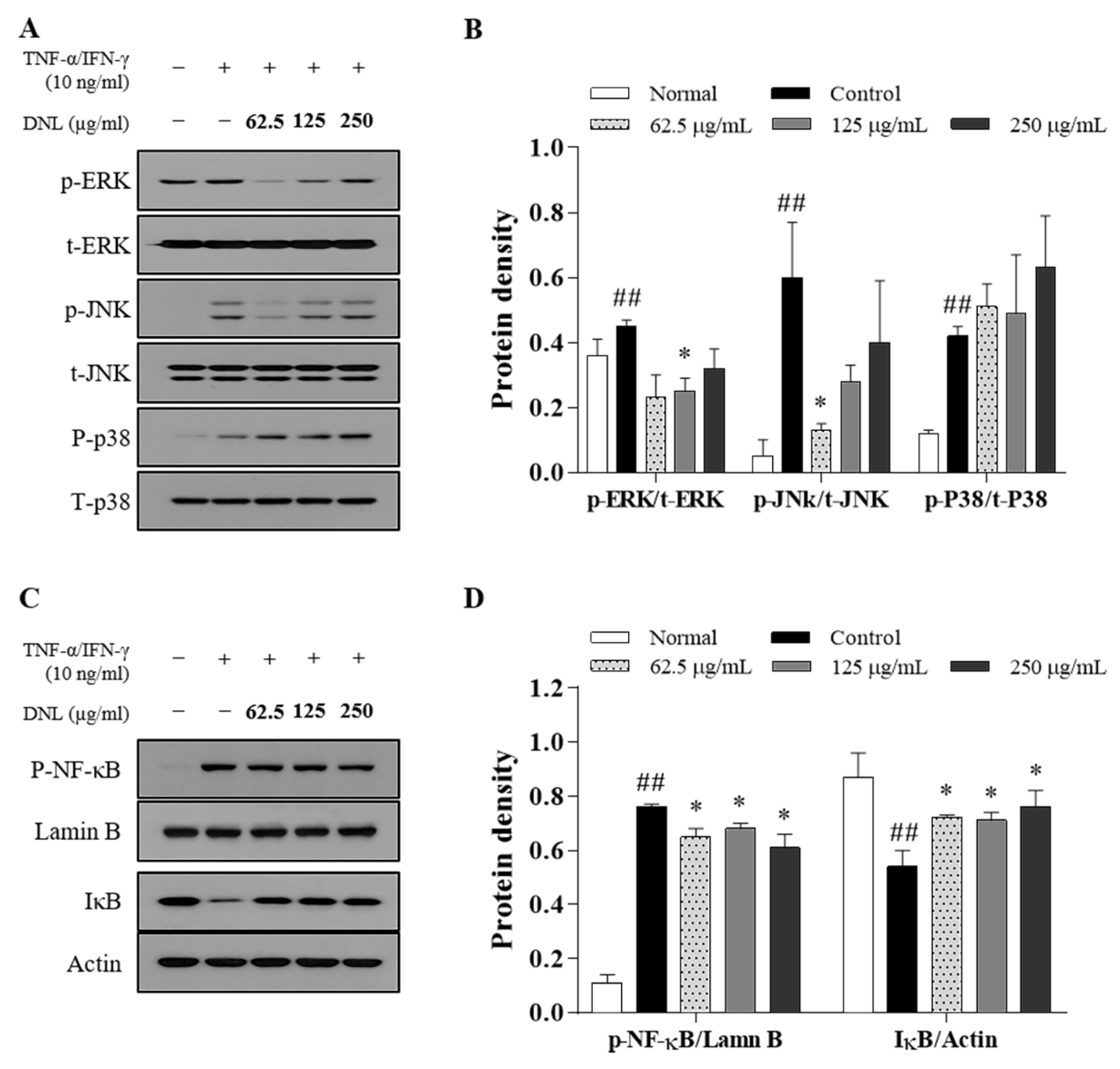 Ijms 23 04470 g007 550