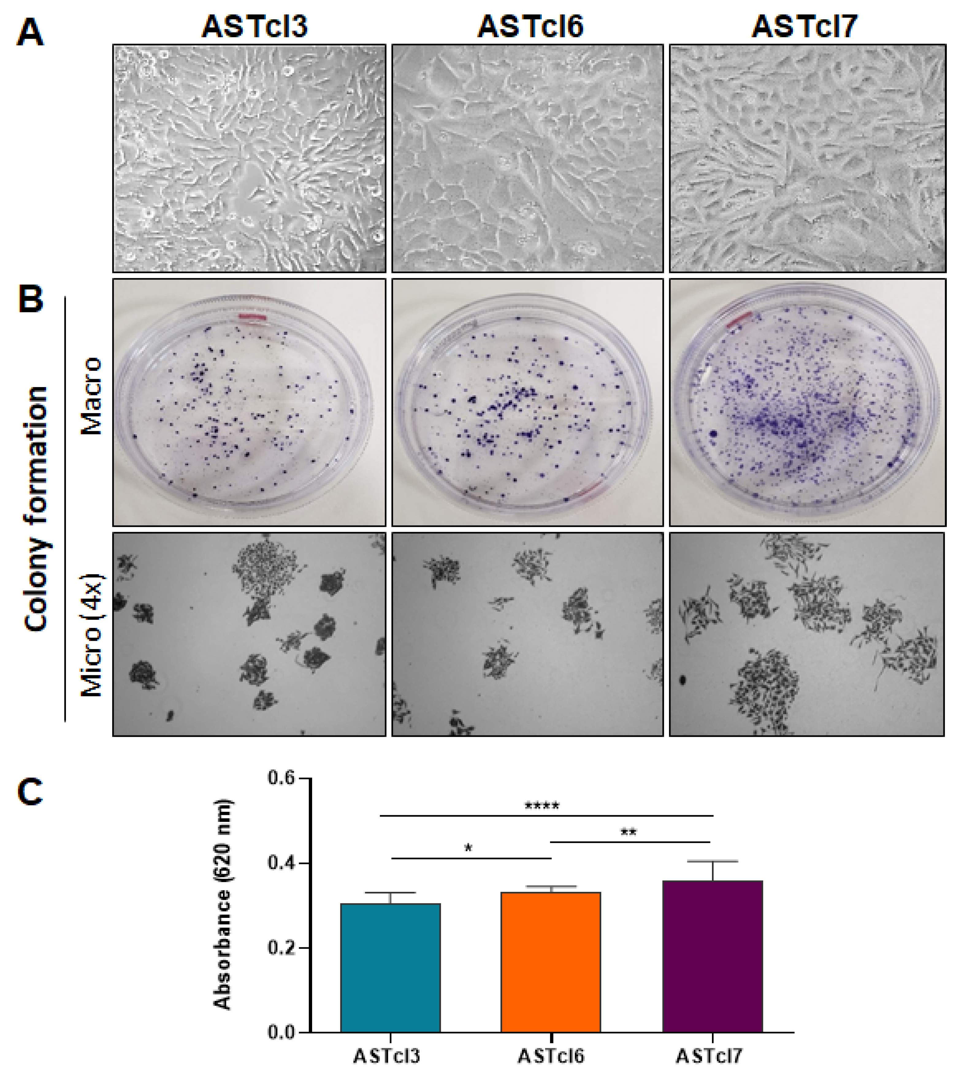 Ijms 23 04471 g002 Ijms 23 04471 g002