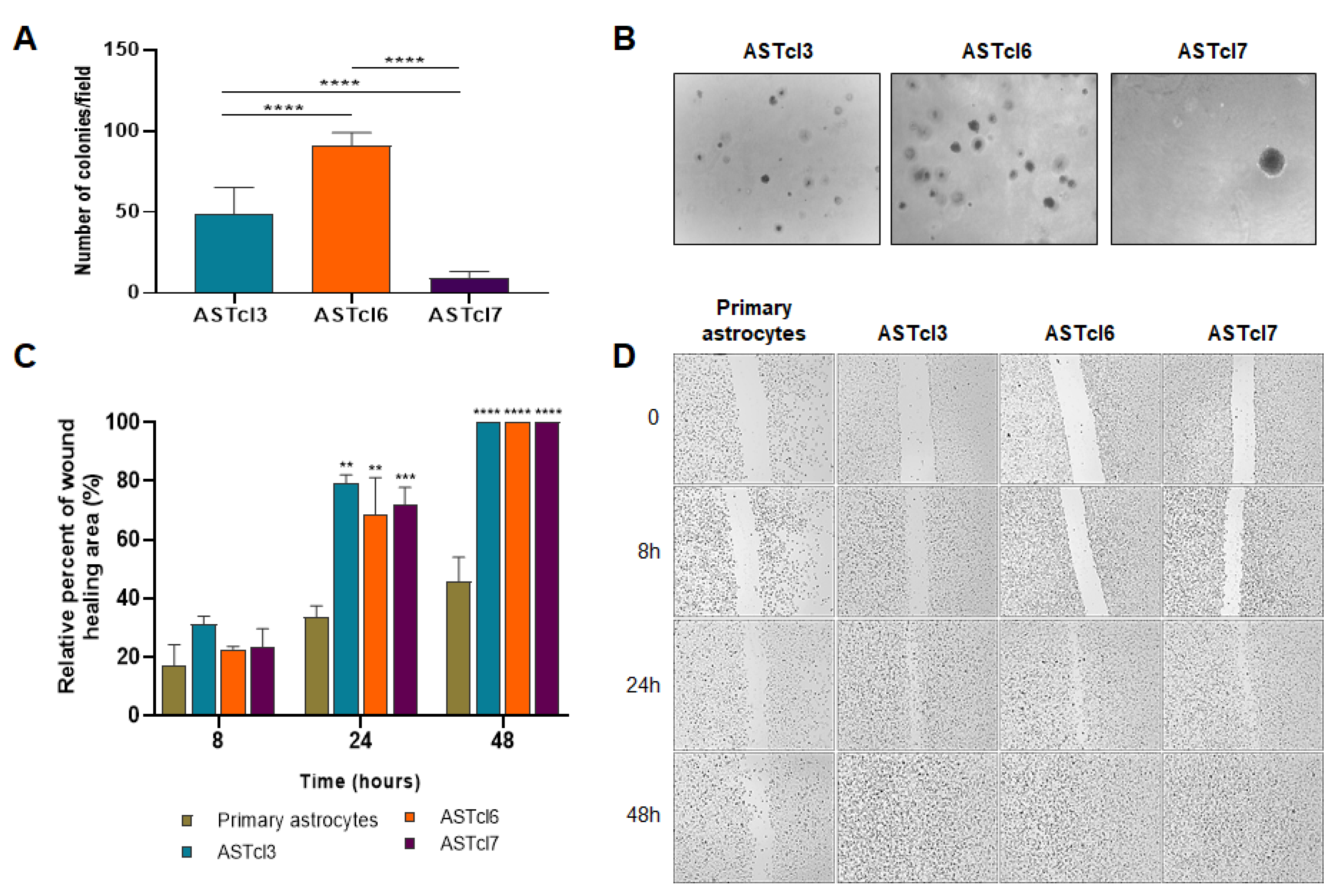 Ijms 23 04471 g004 Ijms 23 04471 g004